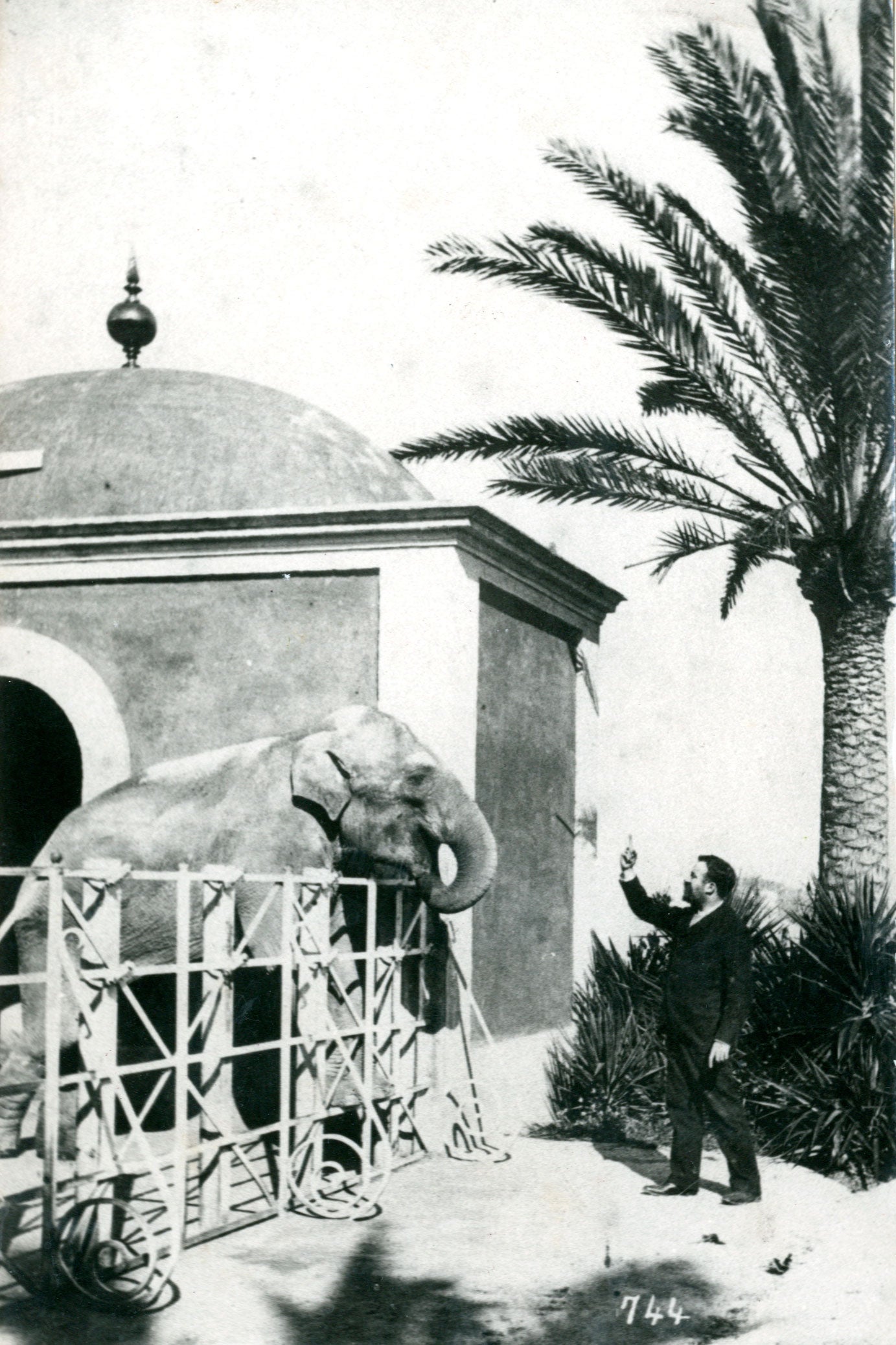 L'empresari Lluís Codolar a la granja familiar amb l'elefant conegut com l'Avi en una fotografia feta entre els anys 1872-1892 / Fons Martí Codolar (AMDHG)