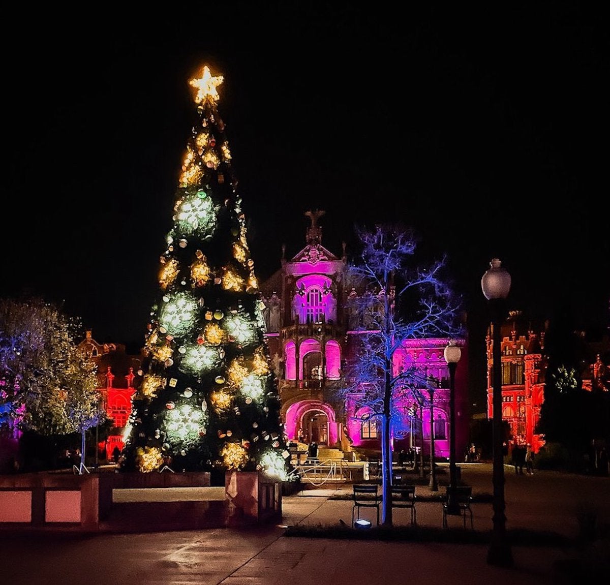 Un gran arbre de Nadal uneix els diferents escenaris de l'espectacle | Sant Pau