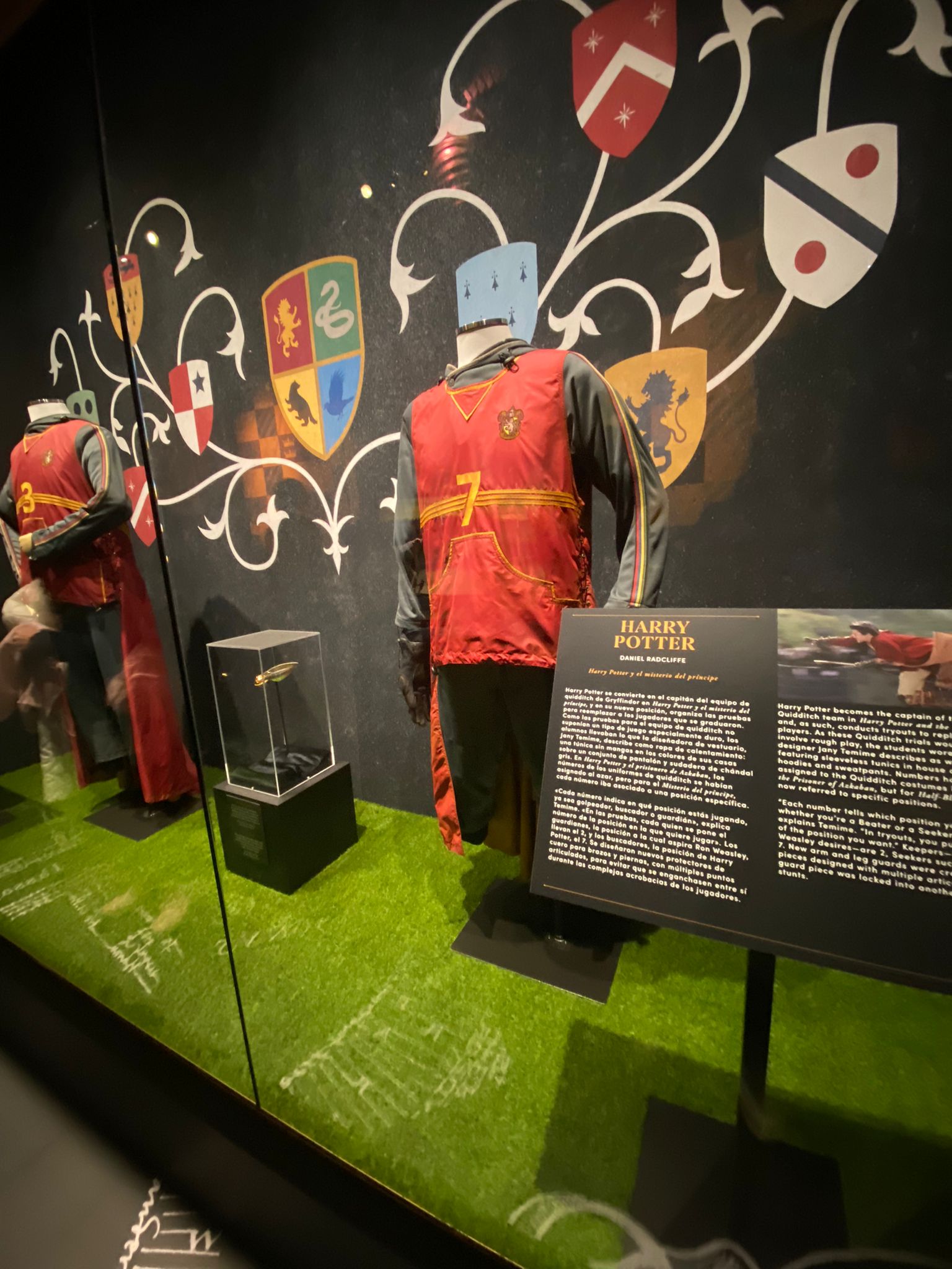 La roba que els alumnes feien servir en els tornejos de quidditch