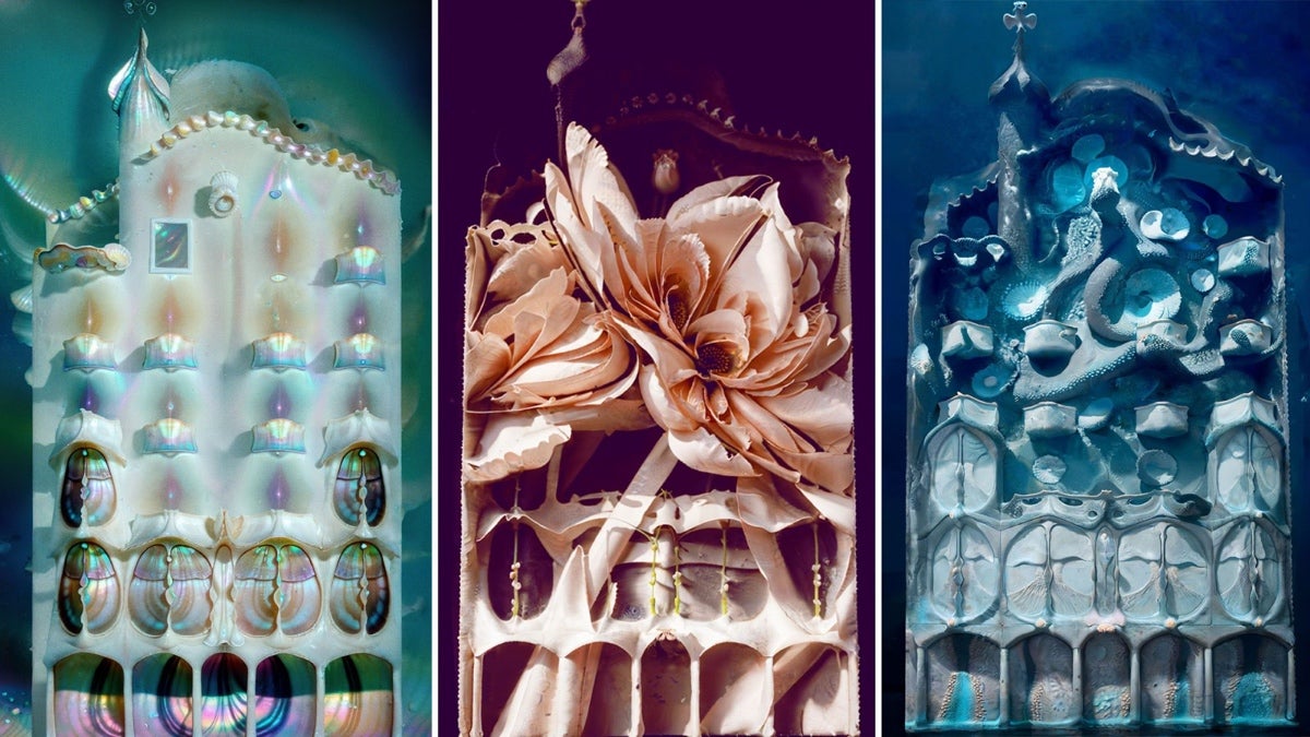L'espectacle visual de Sofía Crespo a la Casa Batlló 