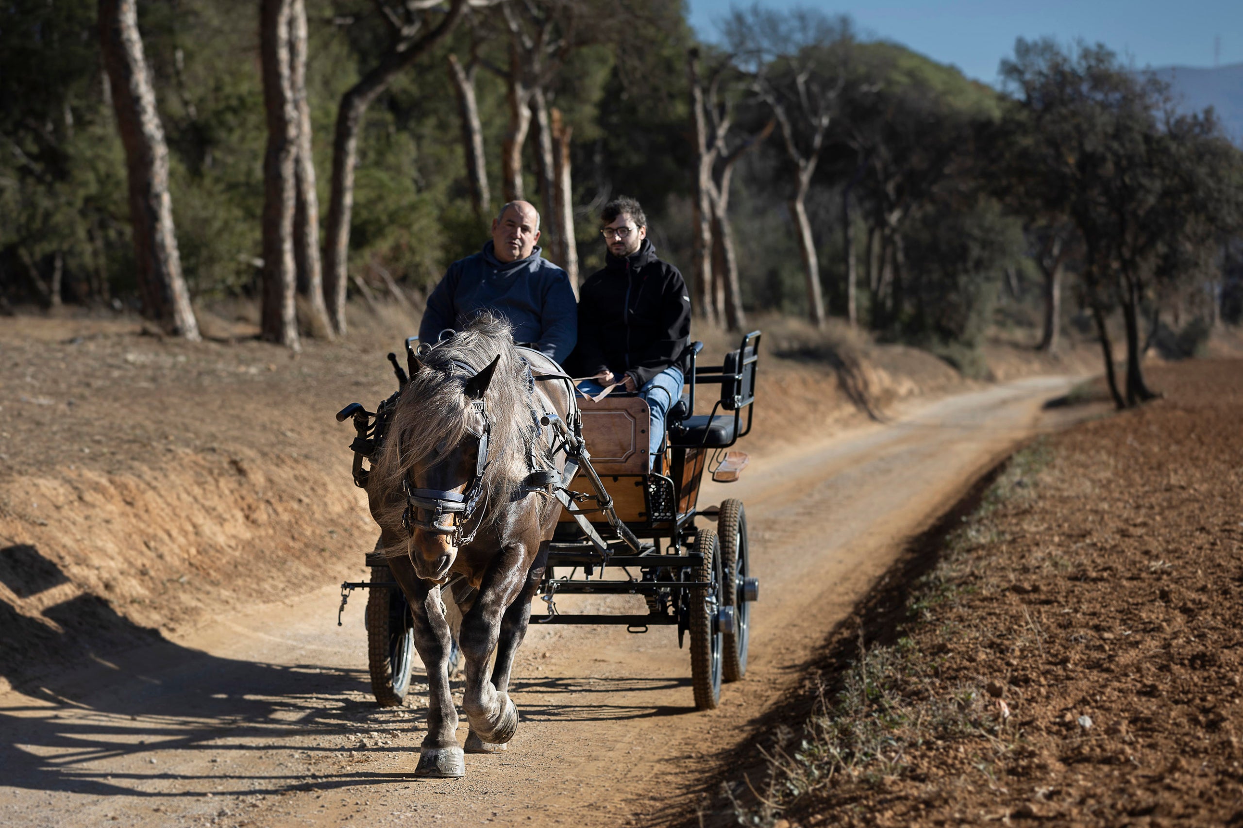Jordi Clapés, de l’Hípica Clapés de Santa Perpètua de Mogoda, participa als Tres Tombs de Sant Andreu. En Jordi va nèixer a l'antiga masia de Can Nyau abans de ser expropiada i enderrocada.
