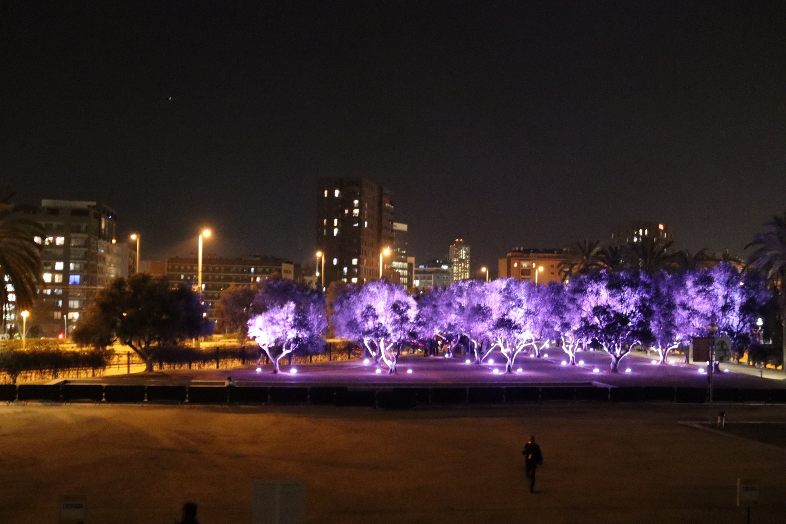 Imatge del Llum BCN, al Poblenou / ACN