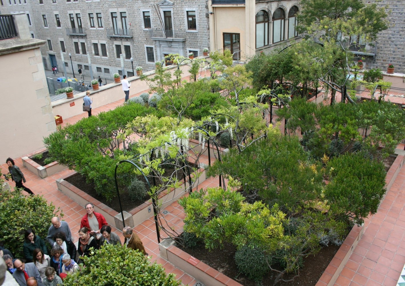 Aspecte del jardí Mercè Rodoreda a la seu de l'Institut d'Estudis Catalans (IEC) en una imatge d'arxiu / IEC