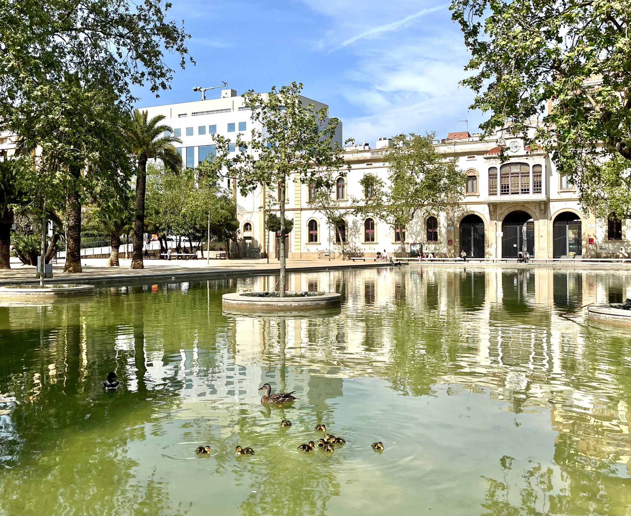 El llac dels jardins del Baix Guinardó, on es construirà el mercat provisional de l'Estrella SALVEM EL PARC