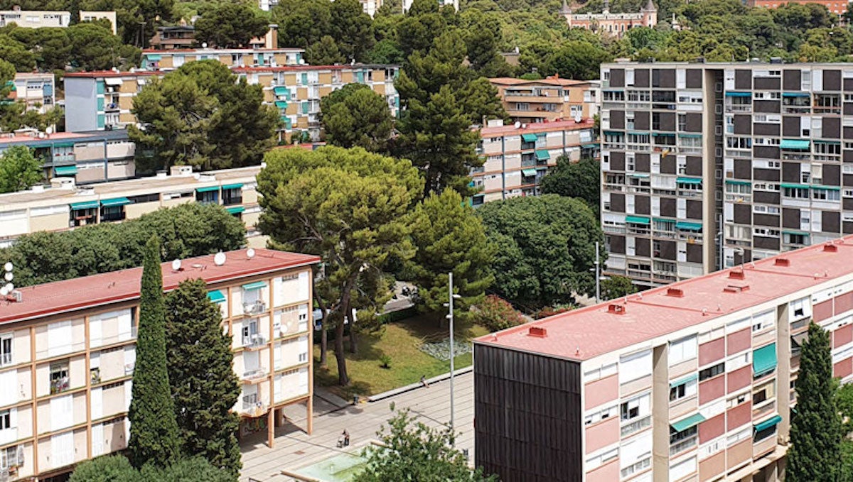 L'aparició de la guineu es va produir a Montbau / Ajuntament de Barcelona