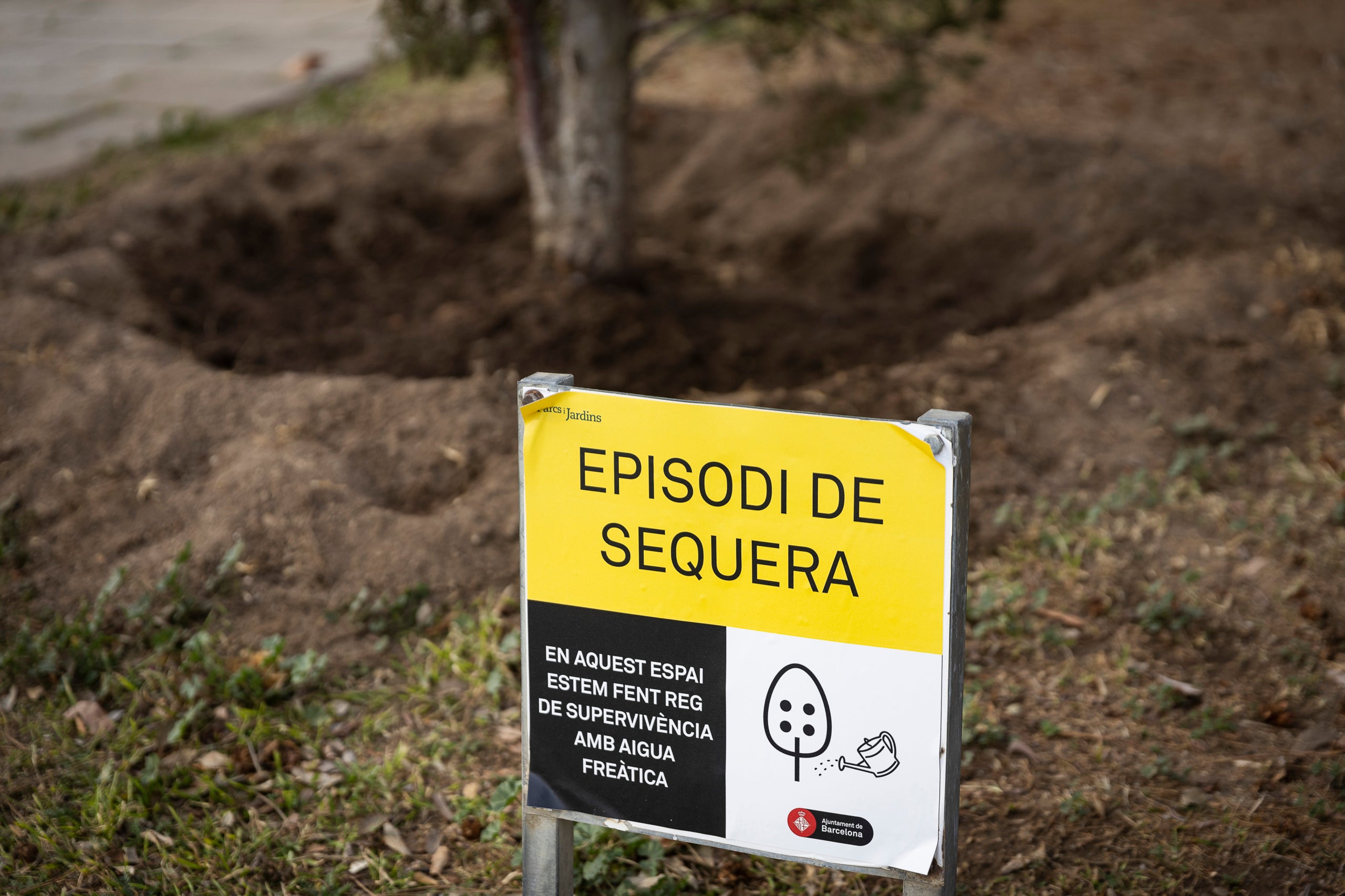 Un anunci per la sequera en un parc de Barcelona / Jordi Play
