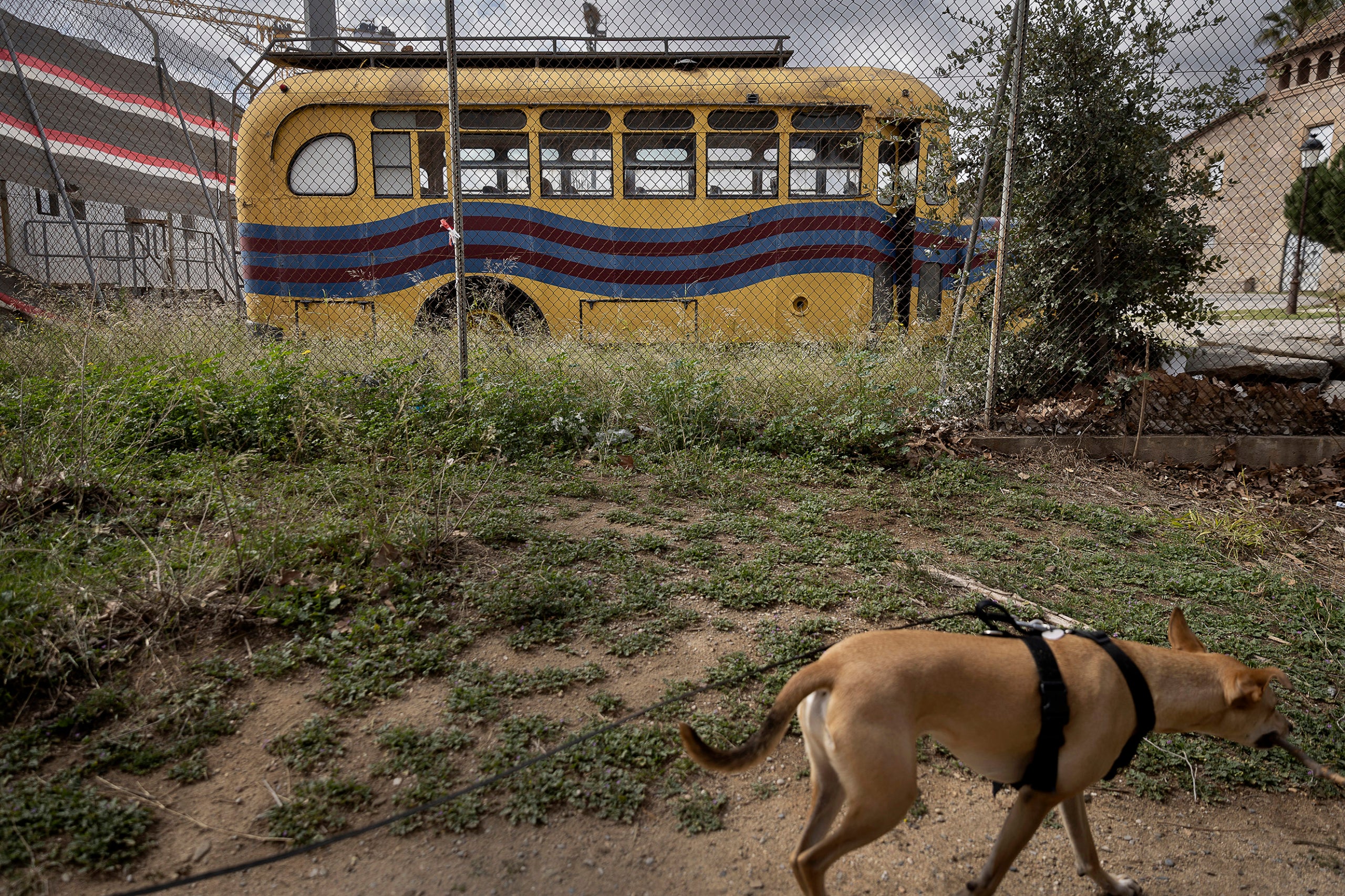 L'Autobús històric del Barça abandonat als jardins de l'antiga Masia del Barça mentres duren les obres del nou estadi Spotify Camp Nou.
12.03.2024, Barcelona
foto: Jordi Play