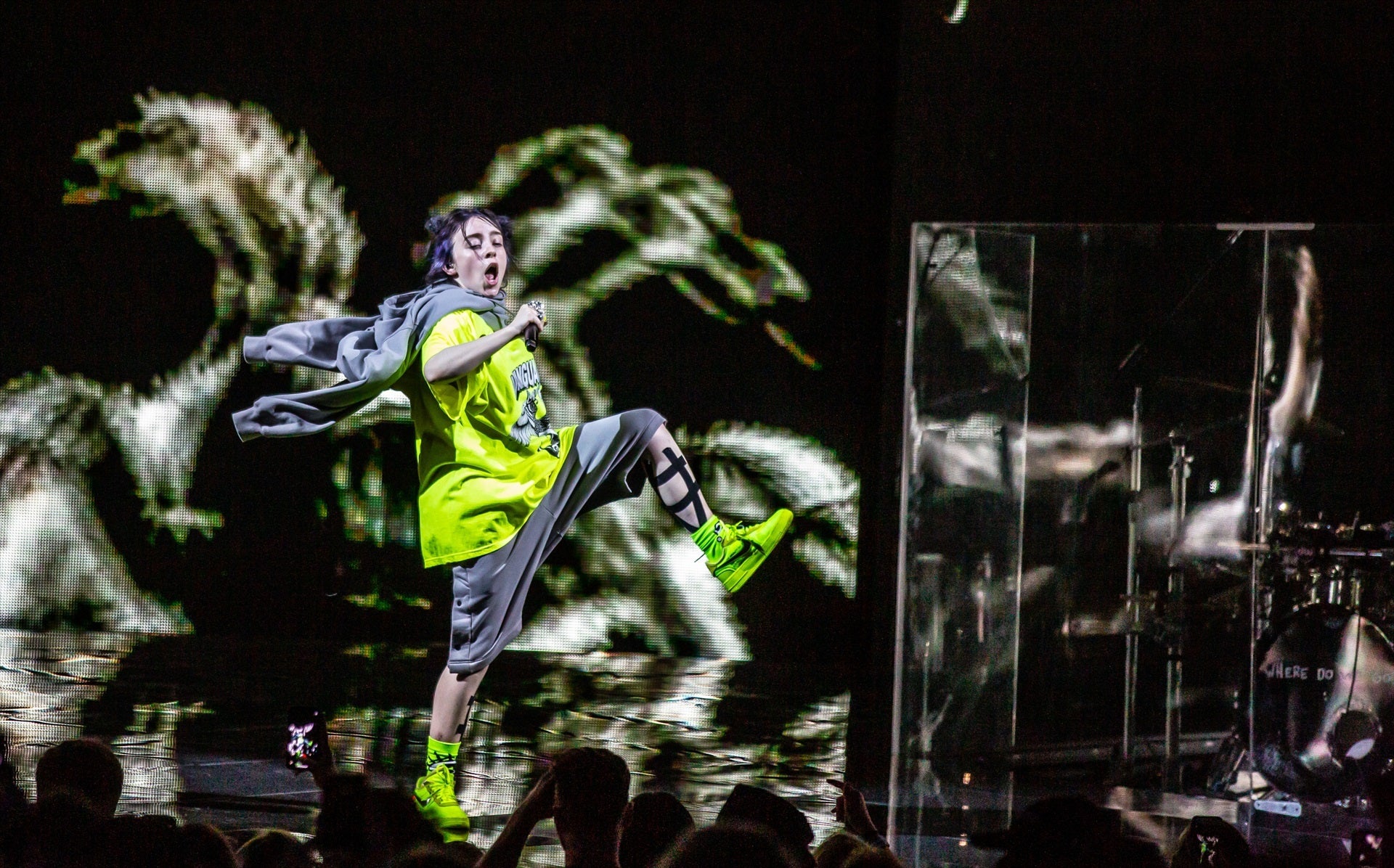 Imatge de la cantant Billie Eilish durant un dels seus concerts / Ryan Fleisher - Imagespace via ZUM