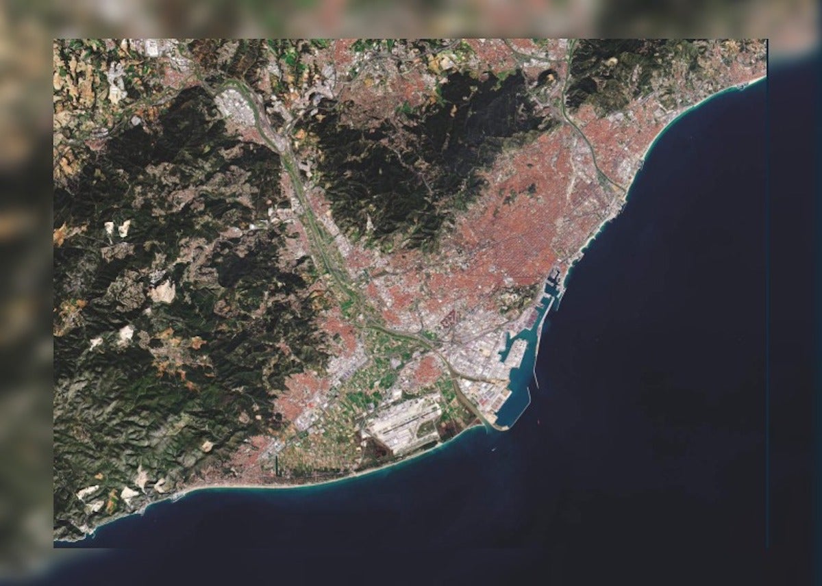Una de les imatges de la Mostra | Generalitat 