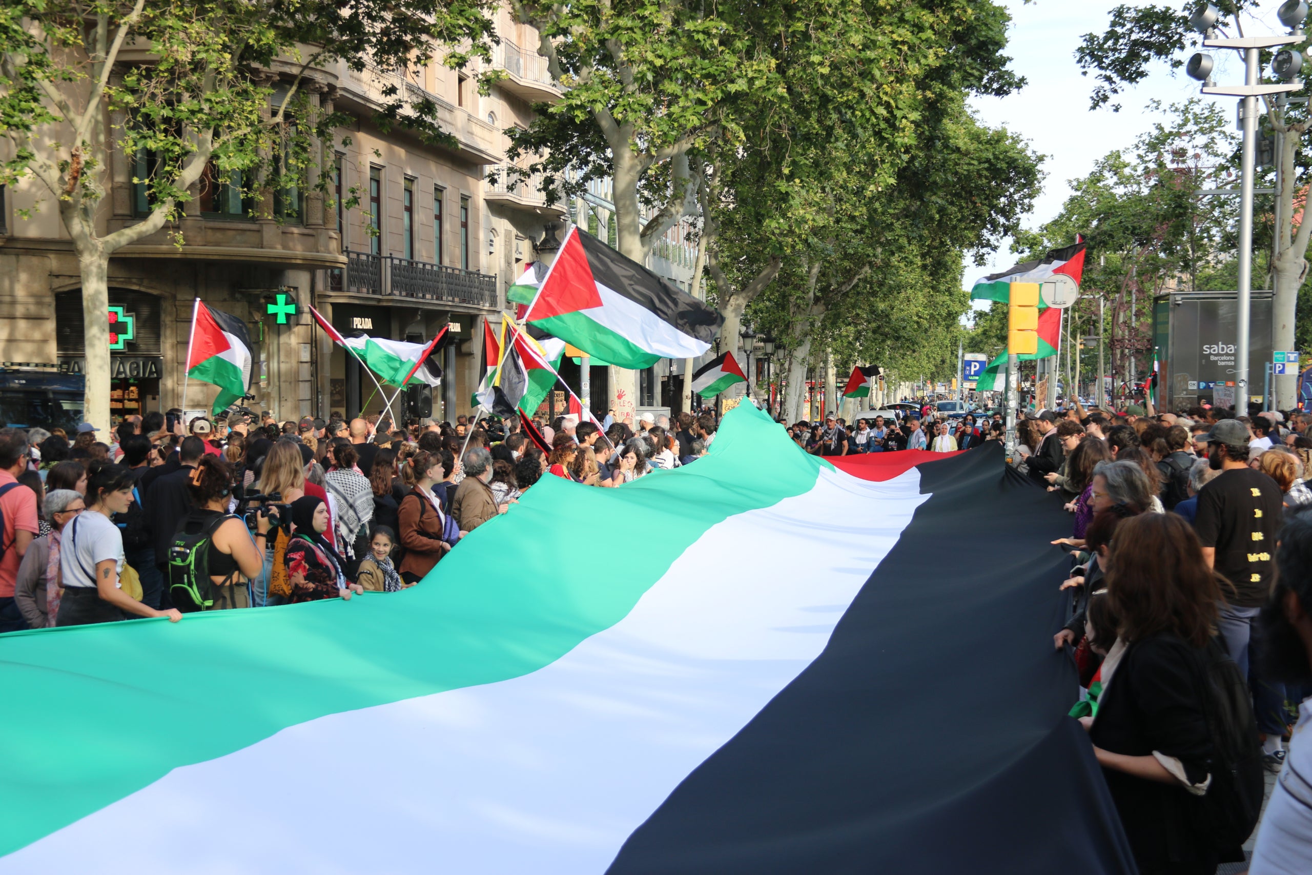 Els manifestants despleguen una gran bandera palestina |  Albert Cadanet (ACN)