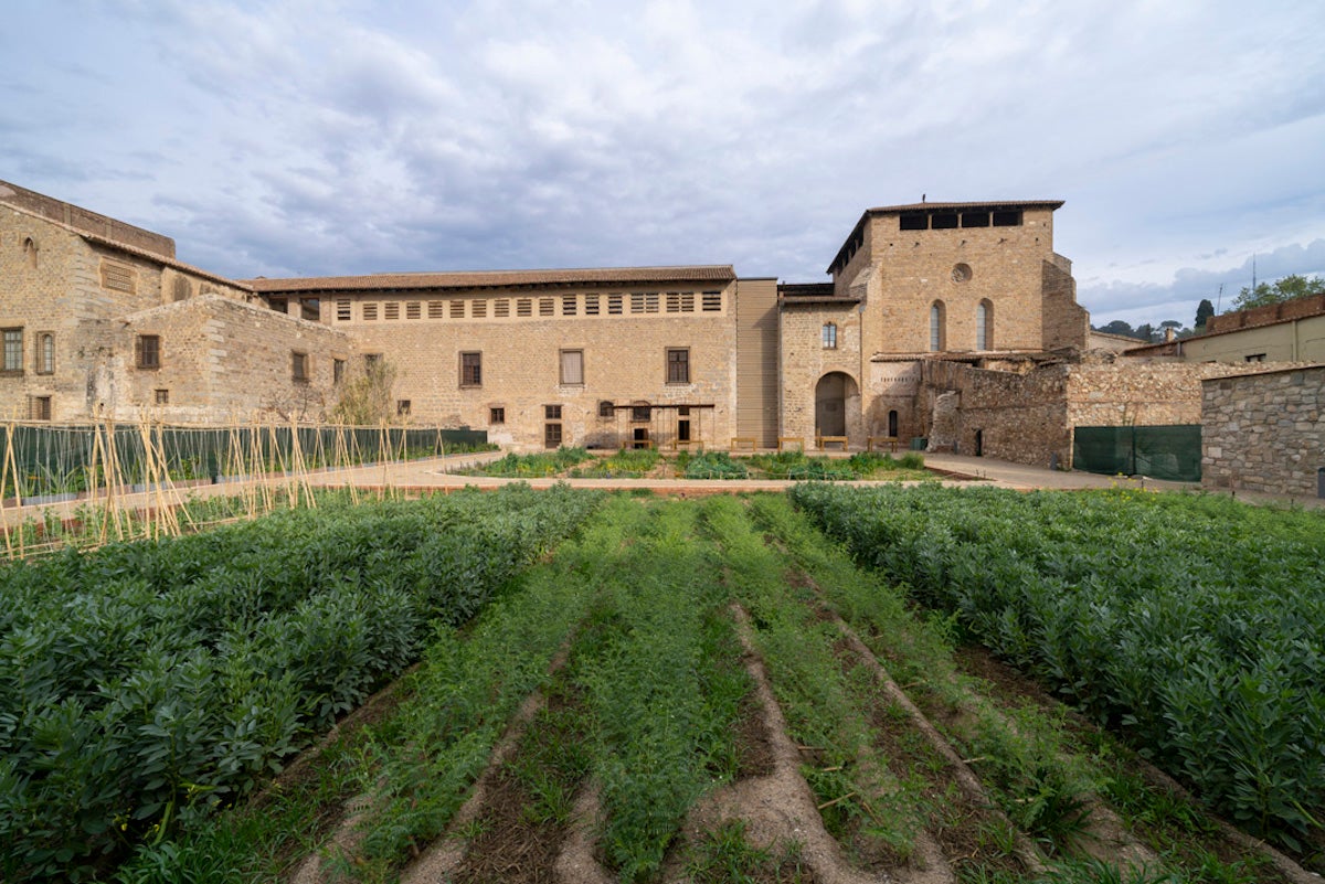 L'hort medieval del monestir de Pedralbes / AJUNTAMENT DE BARCELONA