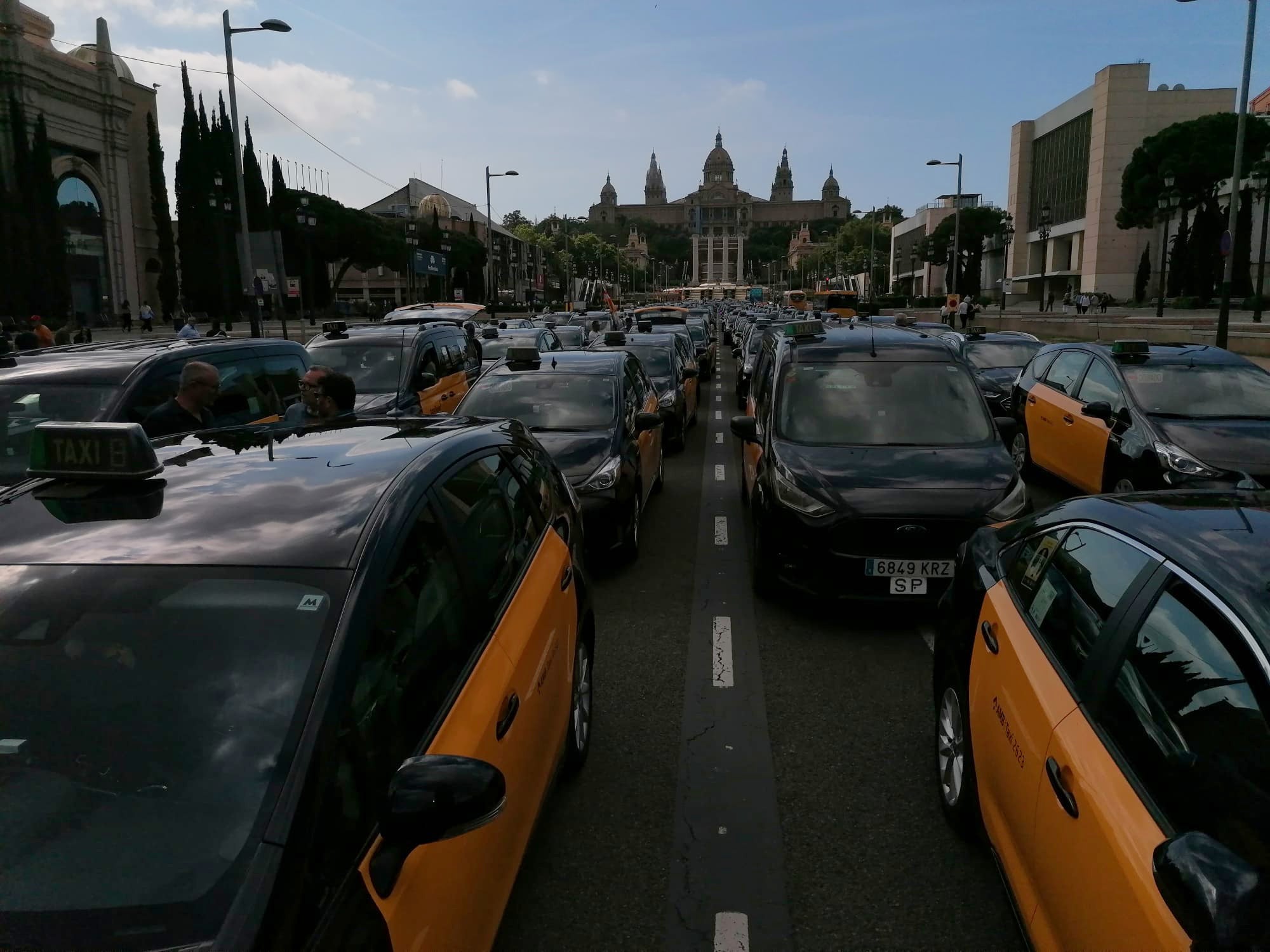 Taxis concentrats a l'avinguda de Maria Cristina | Gabriel González