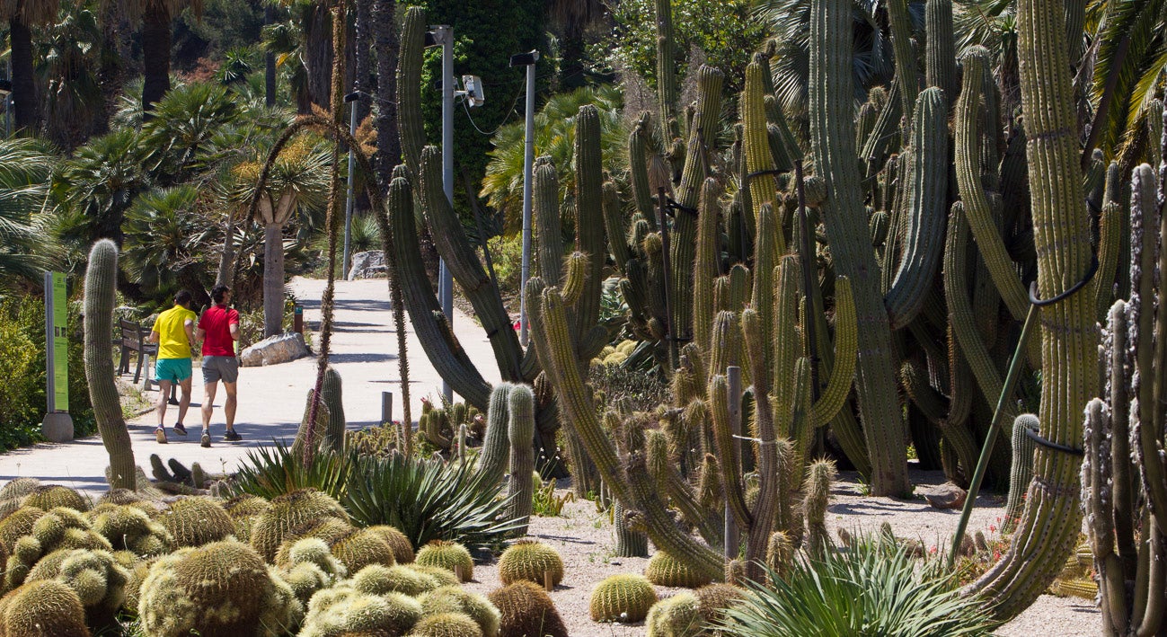 Jardins de Mossèn Costa i Llobera / Ajuntament