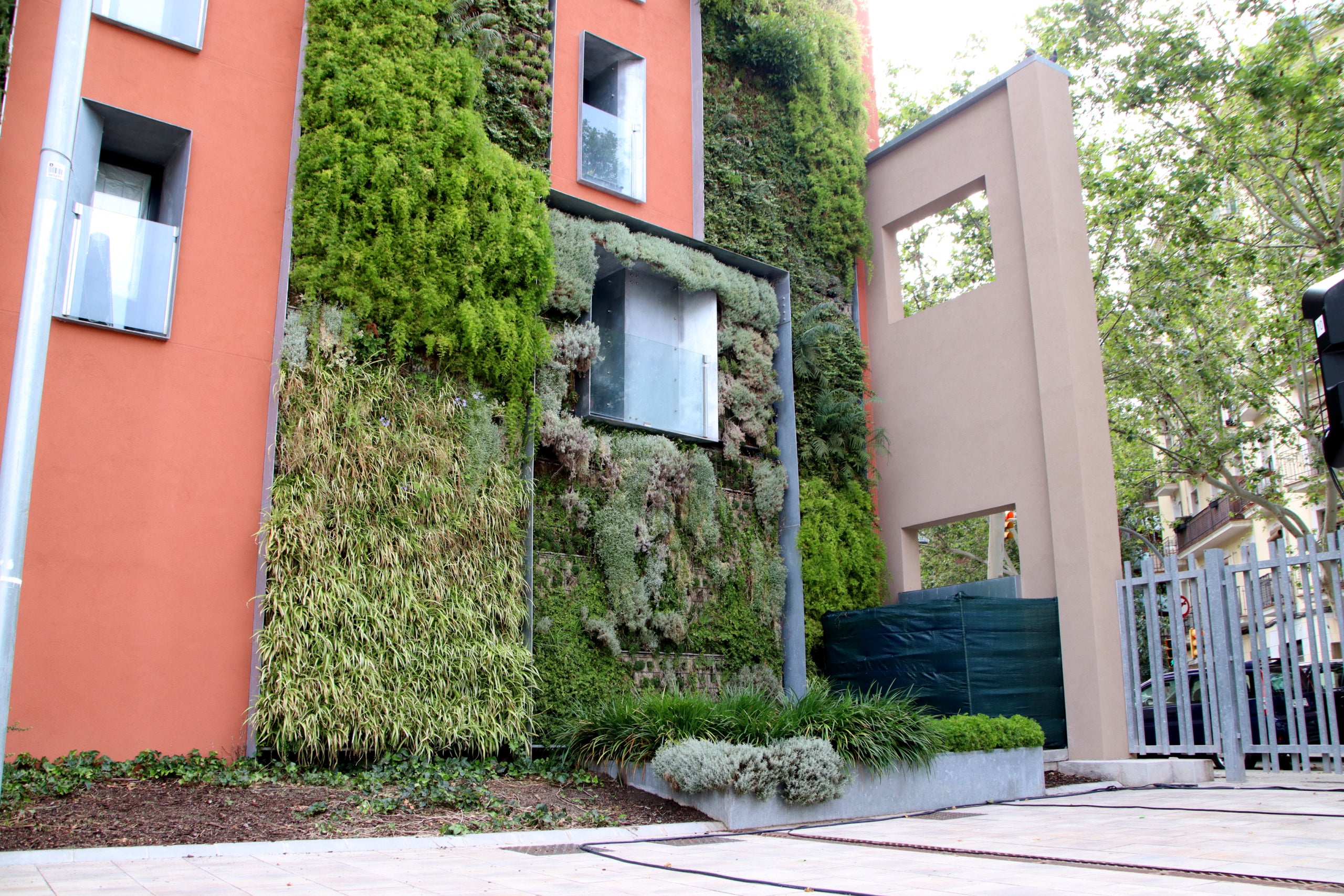 Exemple d'una de les parets mitgeres barcelonines recentment transformades / Blanca Blay (ACN)
