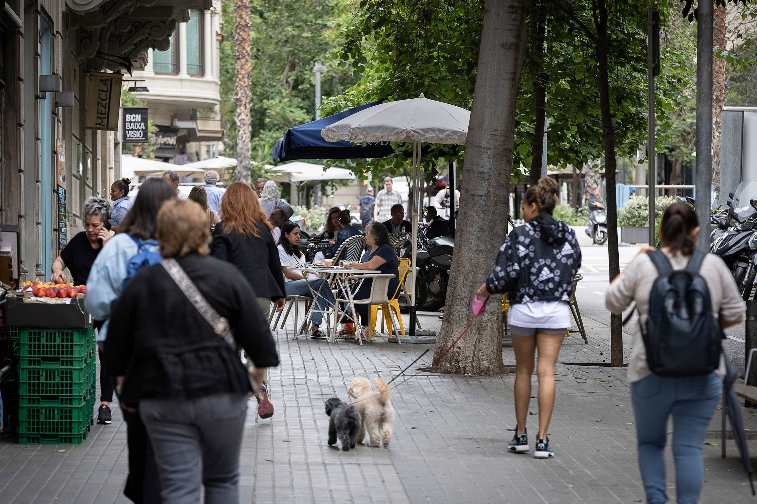 El carrer d'Enric Granados, el juny passat / Jordi Play 