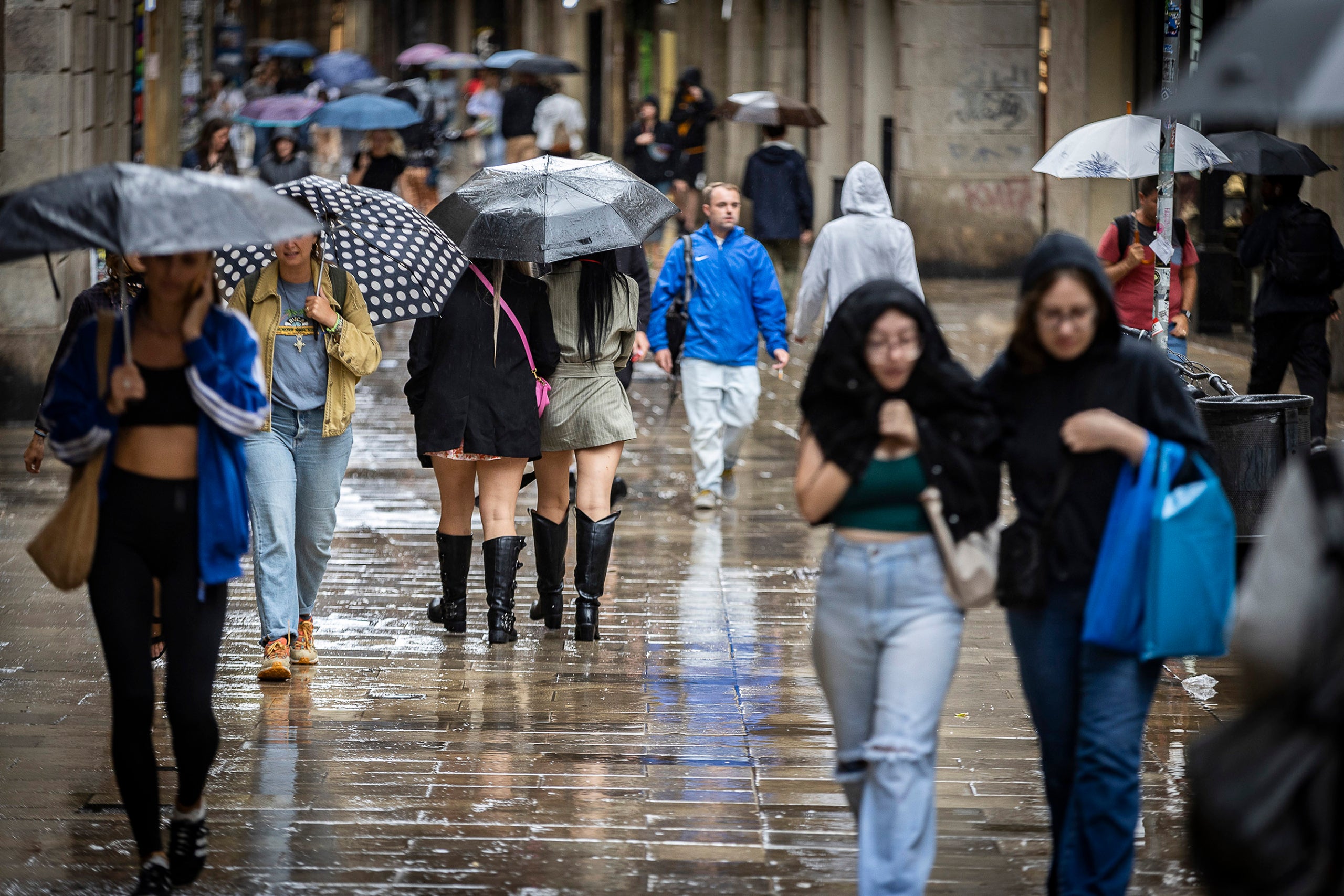 sequera, pluja