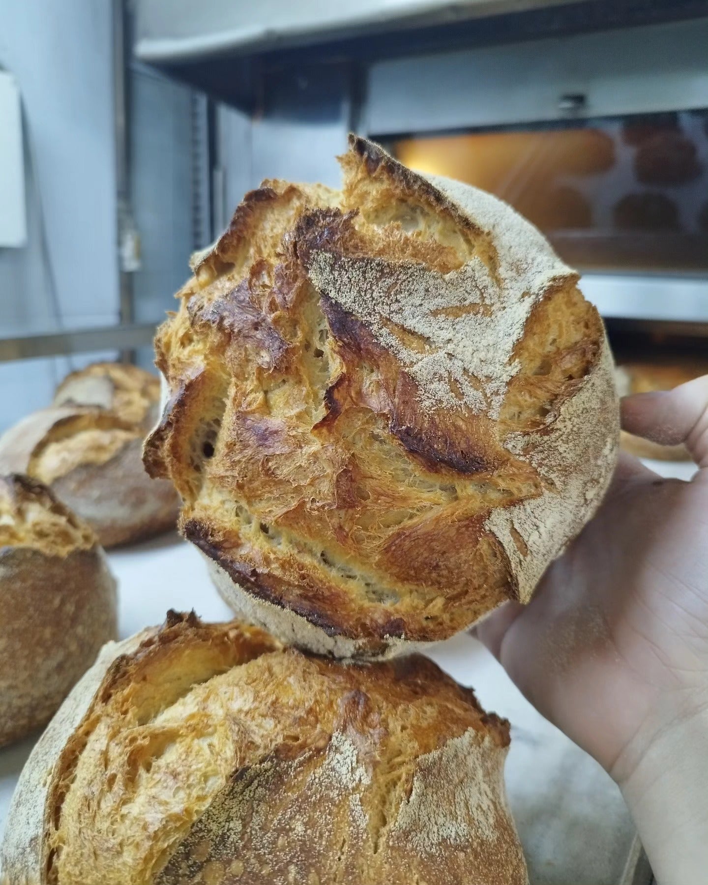 El pa de pagès del forn Montserrat / Montserrat Forners