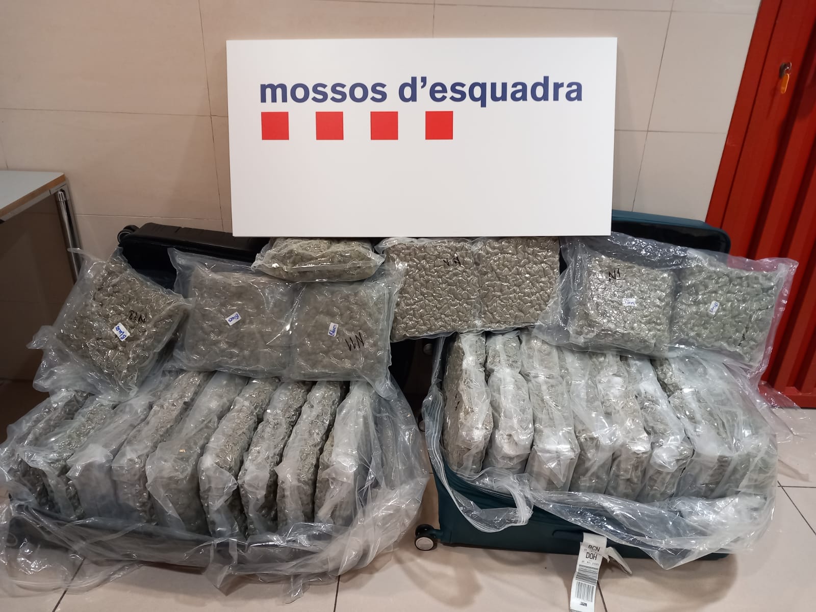 La droga intervinguda pels agents dels Mossos d'Esquadra | Mossos