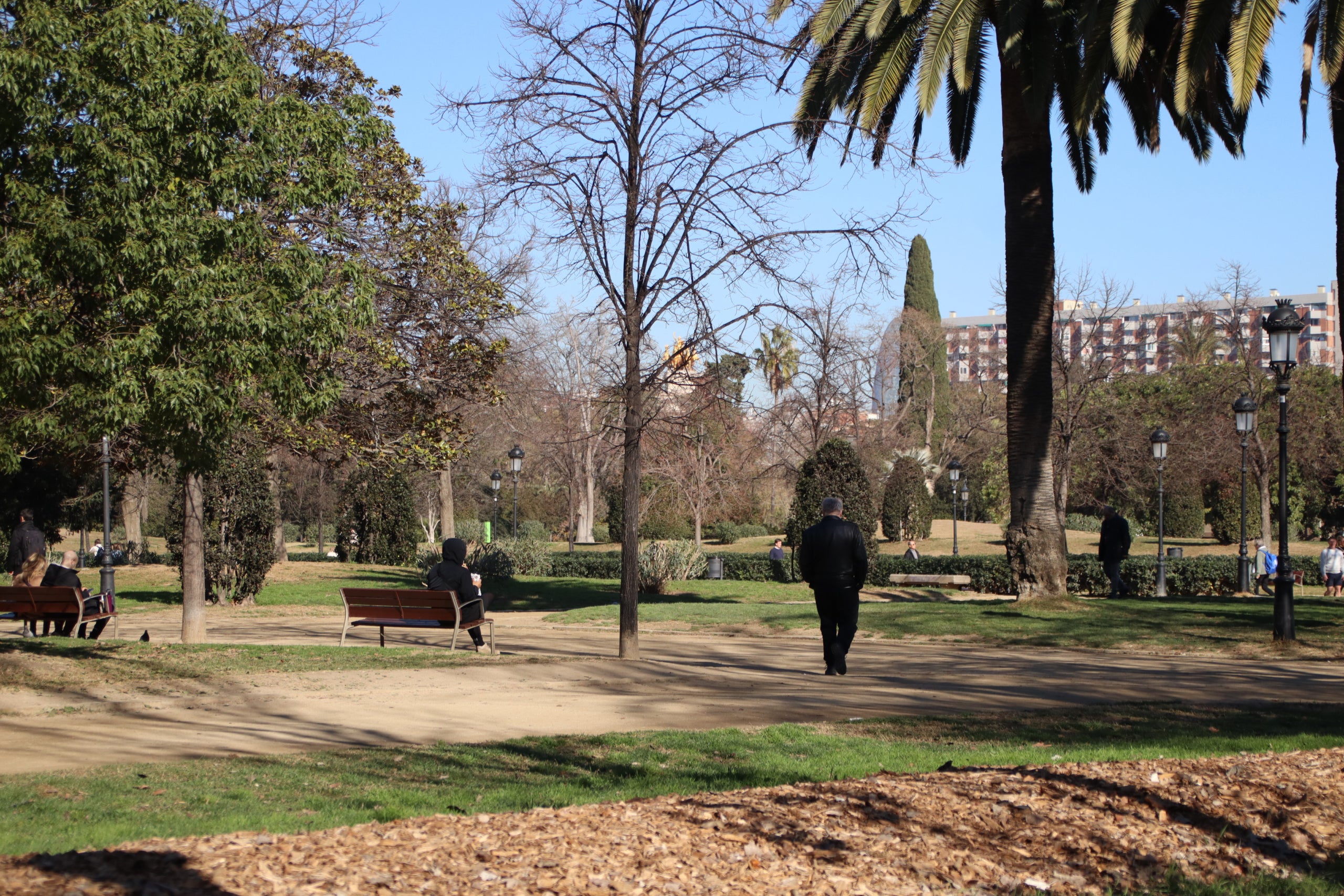 El Parc de la Ciutadella / Blanca Blay / ACN