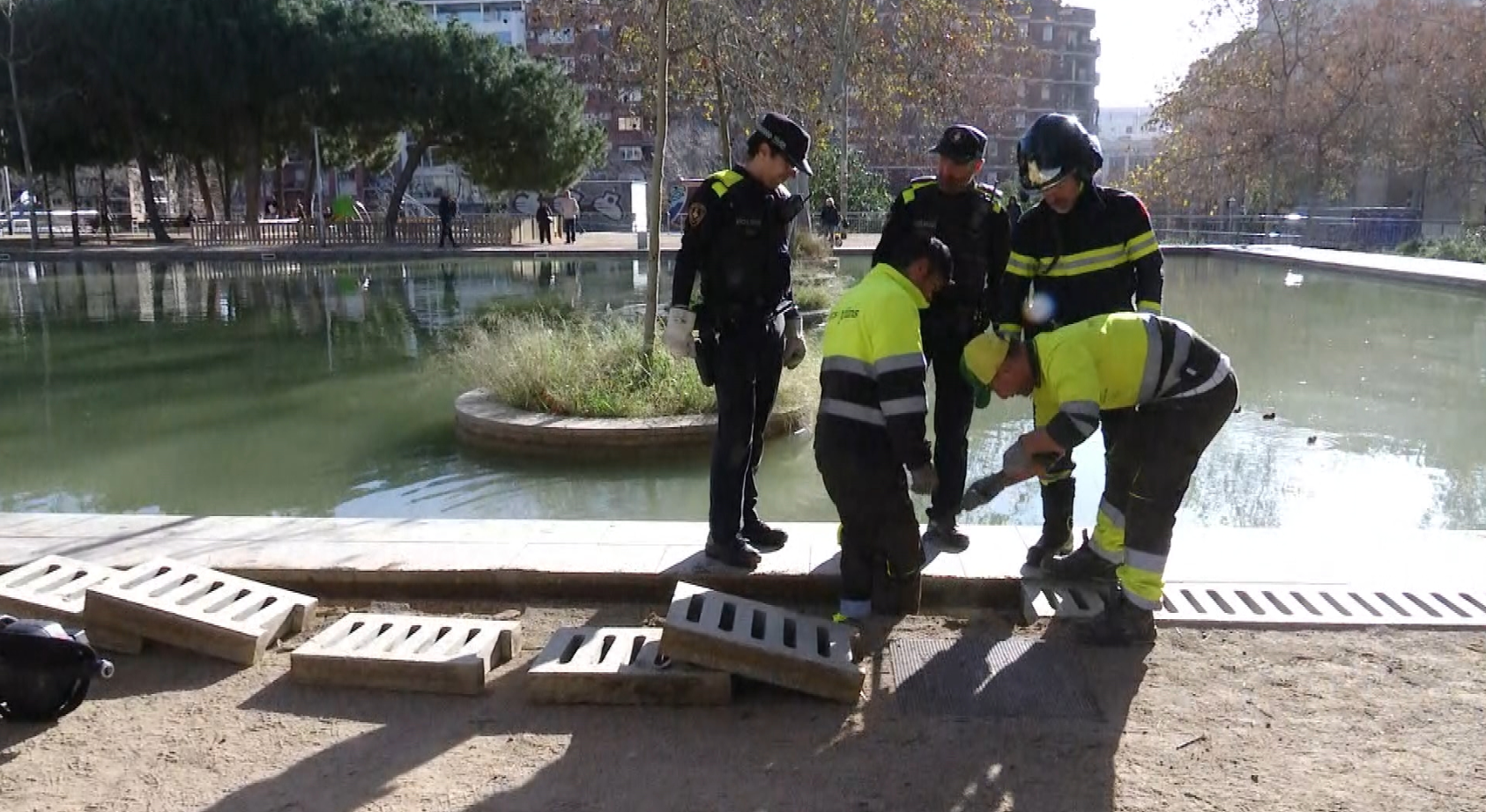 Los Bomberos y la Guardia Urbana han podido rescatar todas las crías finalmente | Betevé