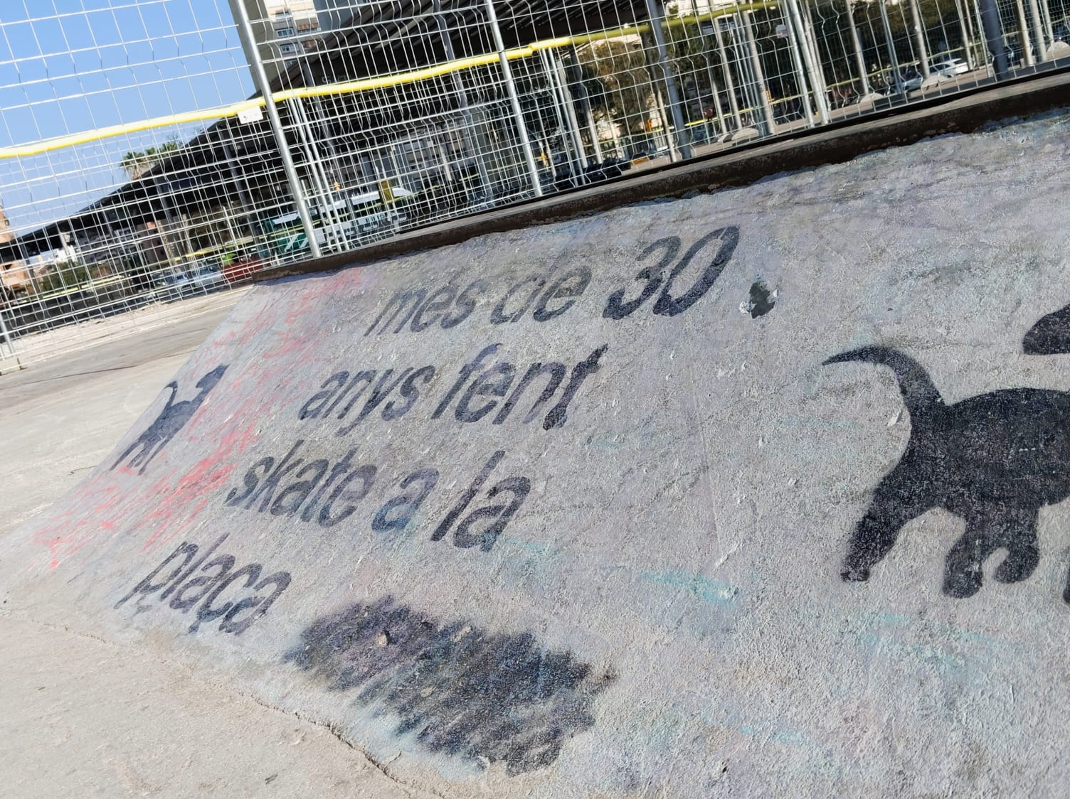 Els patinadors demanen un espai alternatiu al bari mentre durin les obres Gabriel G. Garrido