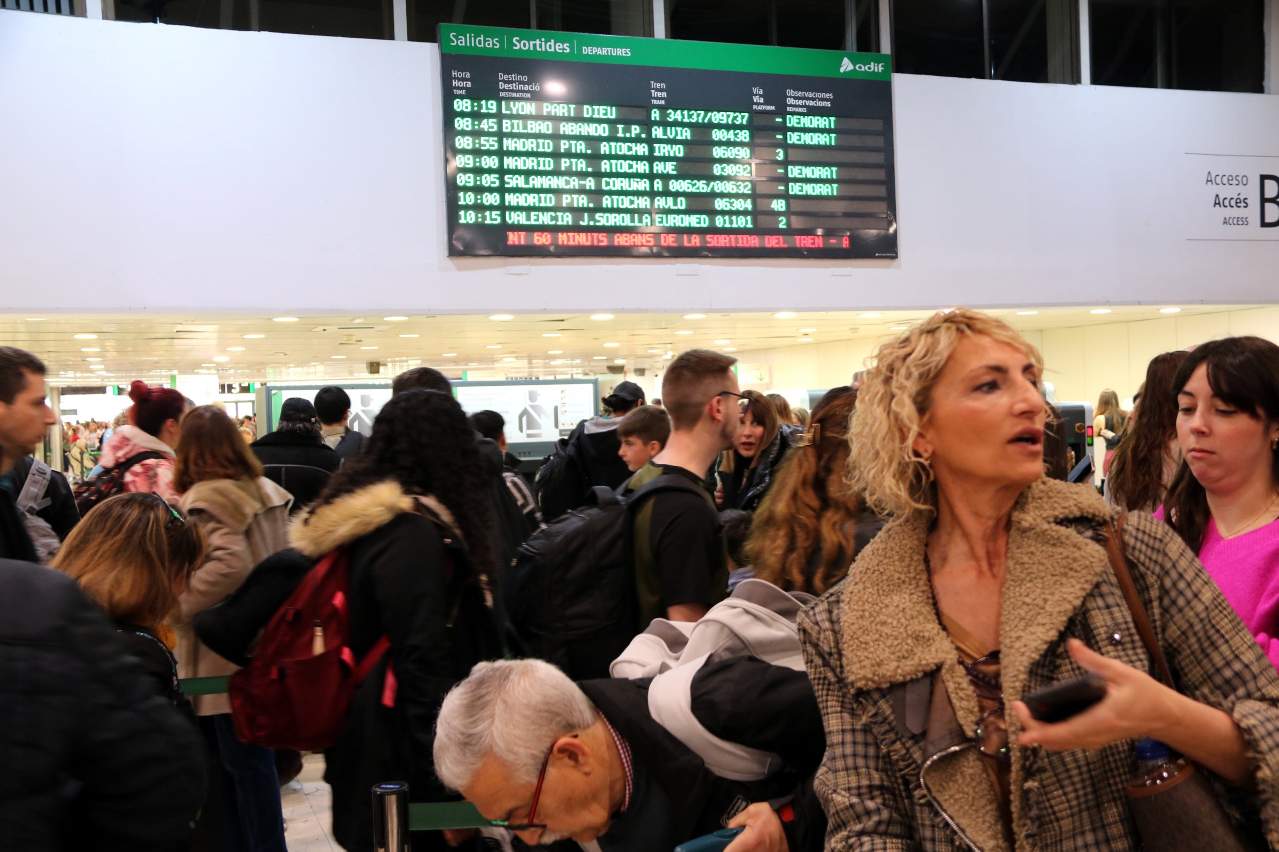 La incidència ha afectat tota l'alta velocitat / Jordi Bataller (ACN)