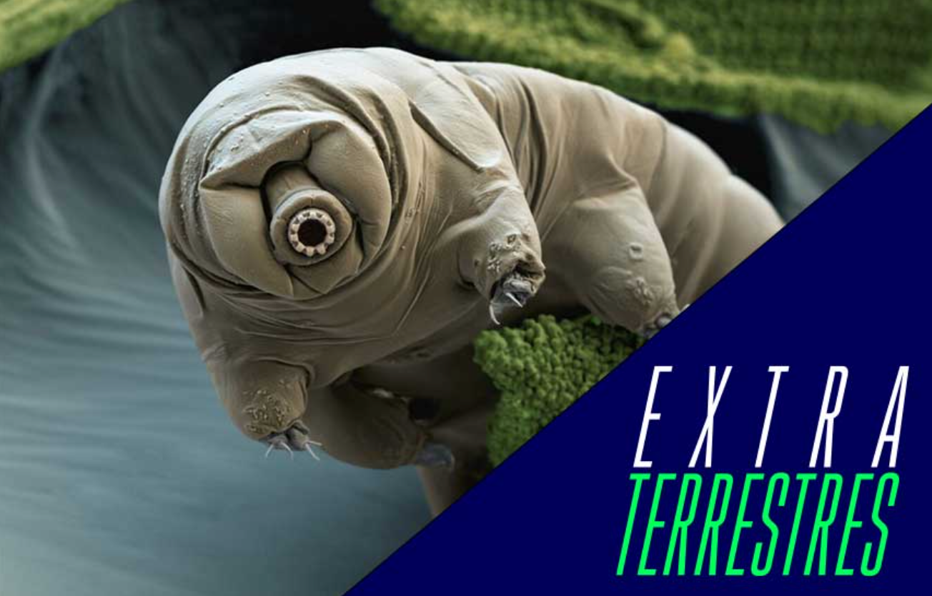 “Extraterrestres”
La possibilitat de vida fora de la Terra, exposició al Cosmocaixa