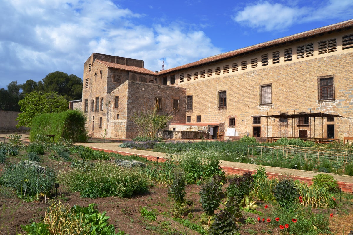 L'hort del Monestir de Pedralbes Foto: Enric M Puga 