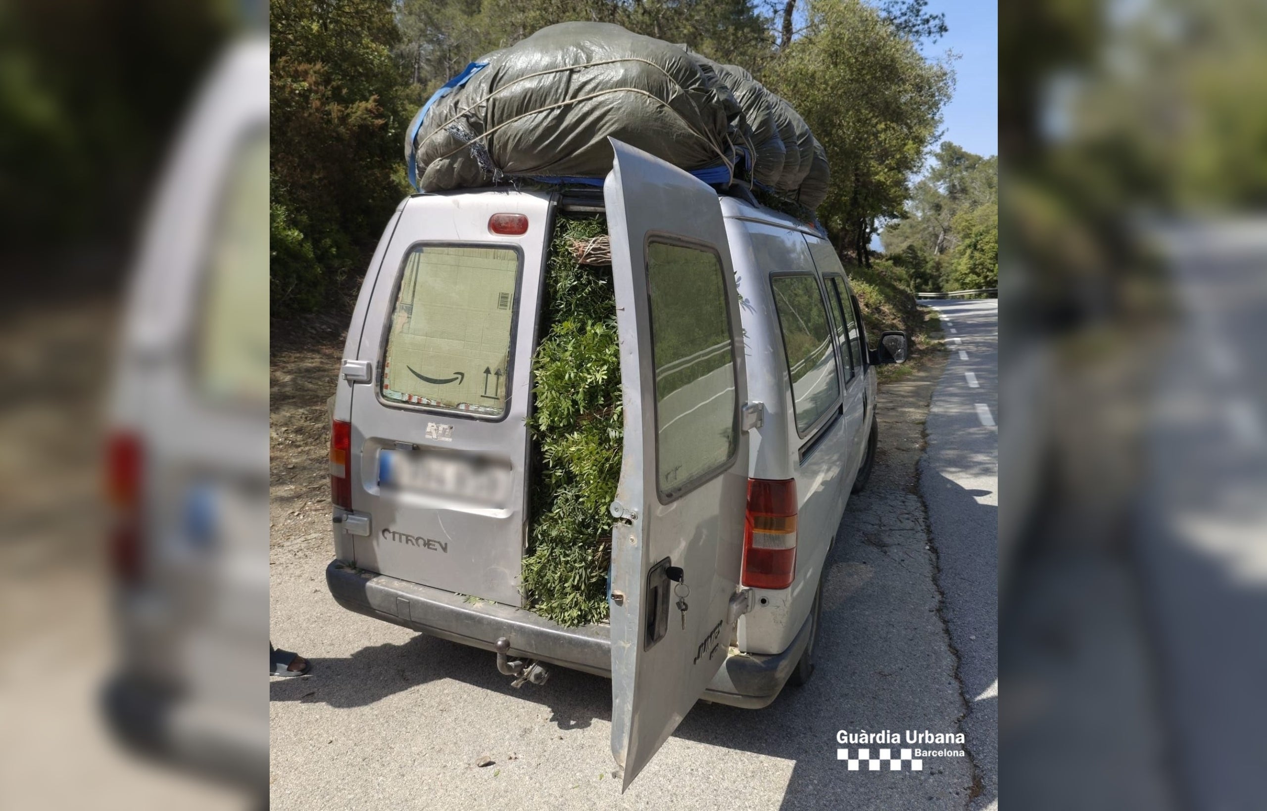 Una furgoneta amb 600 kg de llentiscle / GUB