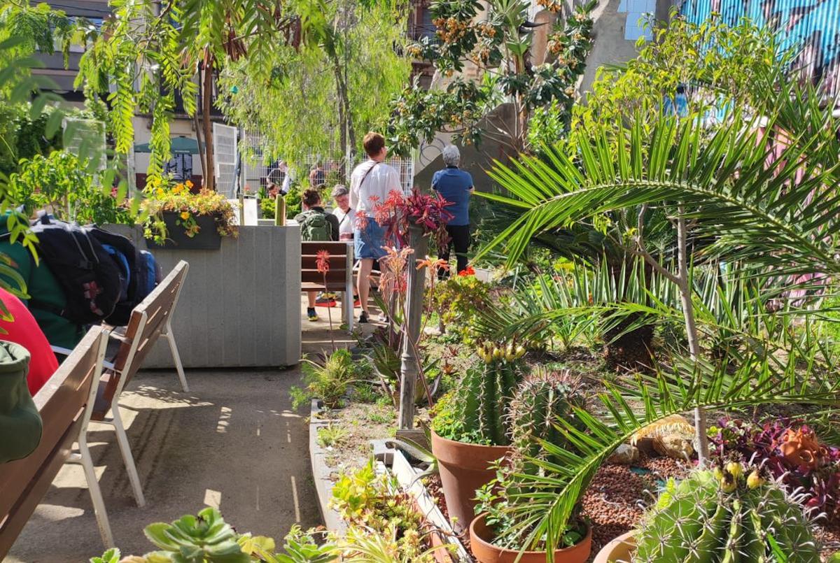 El Jardí de les Papallones del Poblenou / Imatge cedida