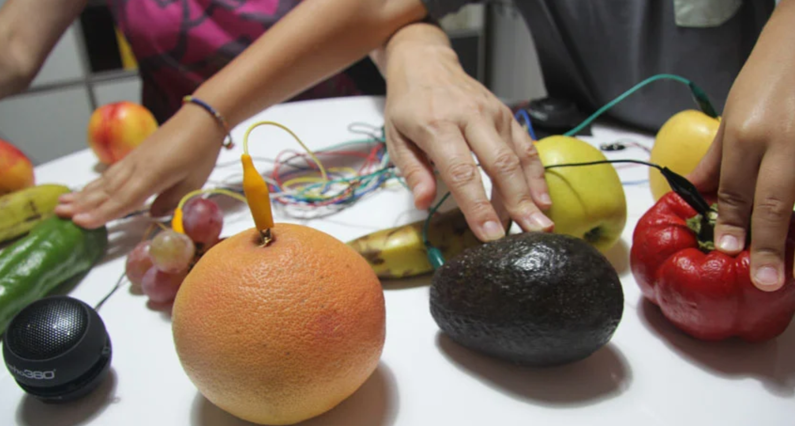 Vegetales electromusicales
Taller de ciencia