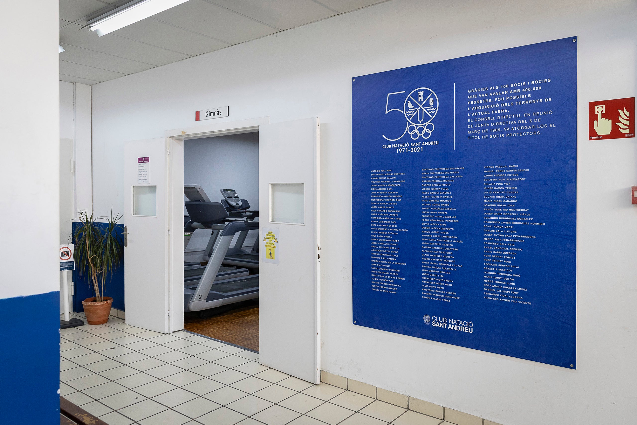 piscina, nedar esport popular centre esportiu municipal