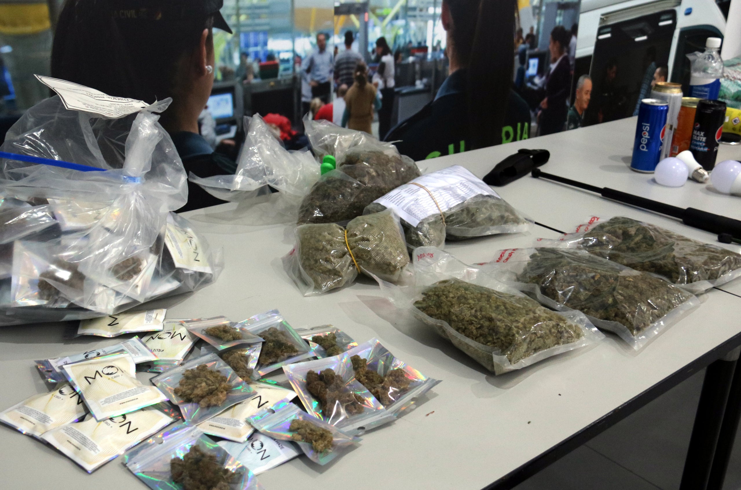 Una part del material comissat durant les inspeccions policials a grow shops de cànnabis a Barcelona / Pol Solà (ACN)
