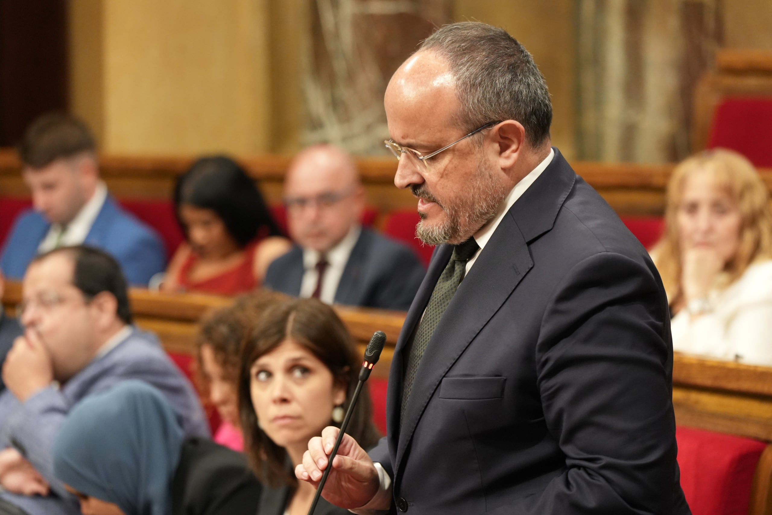 Alejandro Fernández, en la seva intervenció d'avui al Parlament/Marta Sierra/ACN