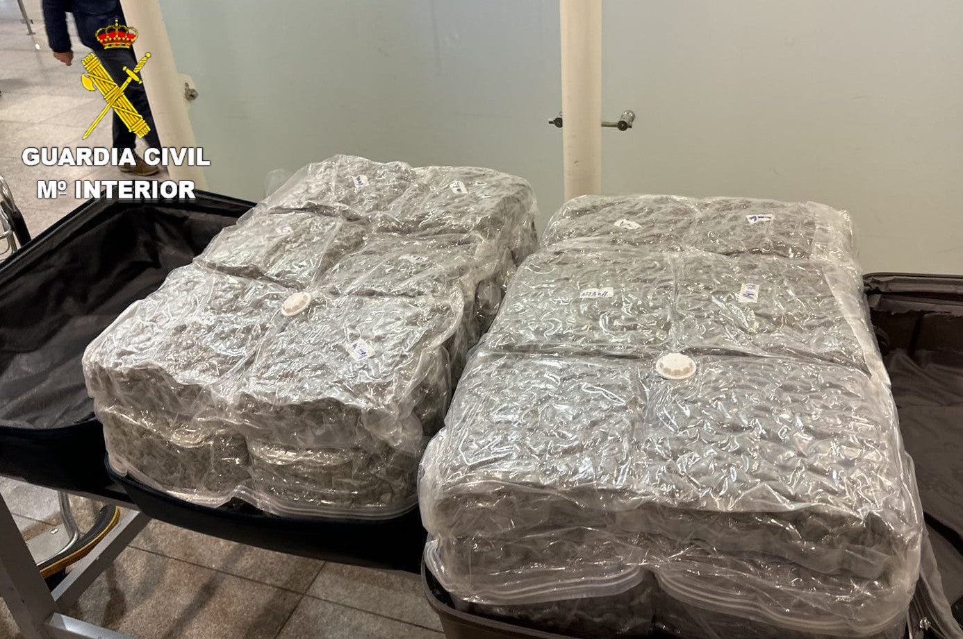 Marihuana procedent de Tailàndia comissada a l'aeroport del Prat / Guàrdia Civil