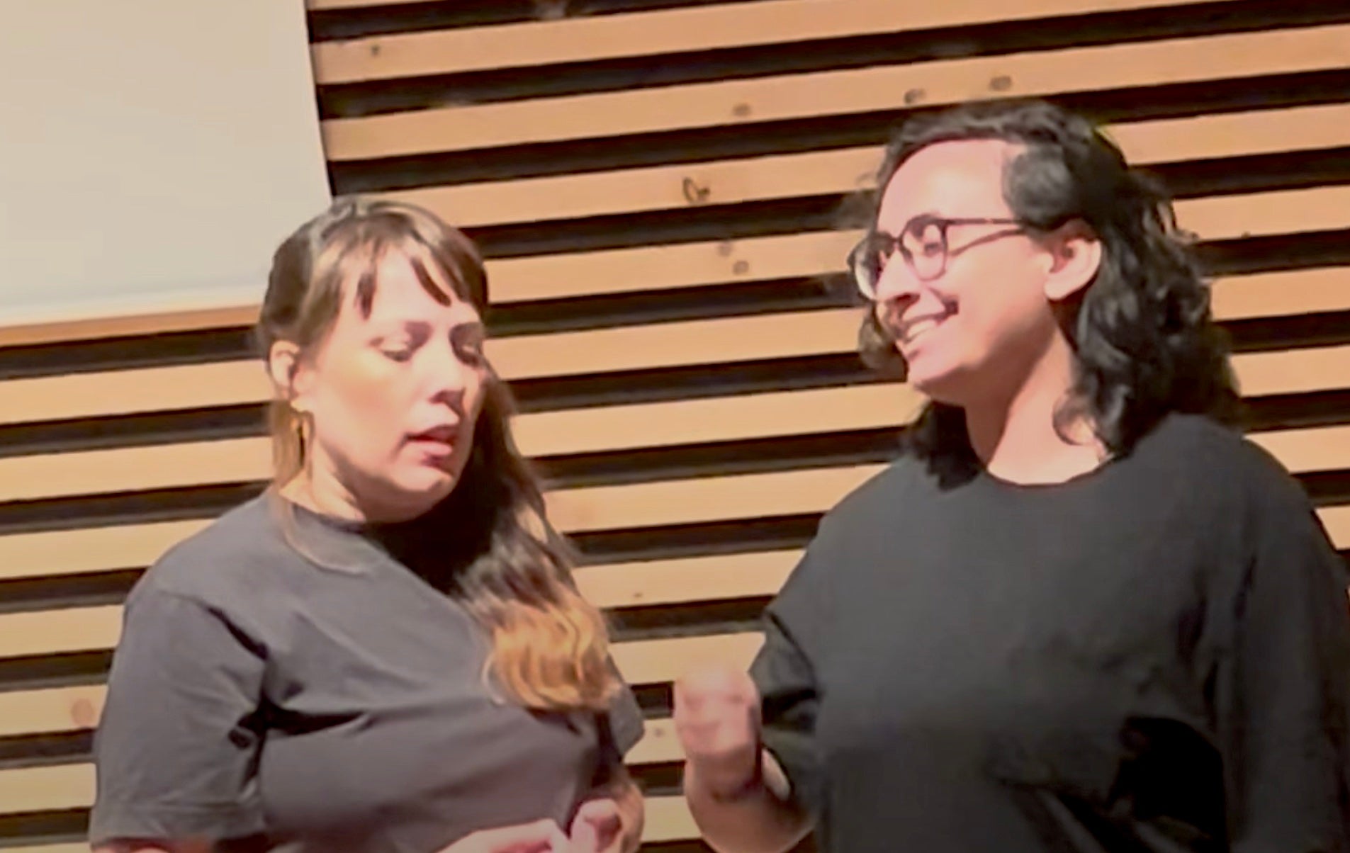 Un moment del gag catalanòfob de l'acte de l'Oficina per la No Discriminació de l'Ajuntament de Barcelona / YouTube
