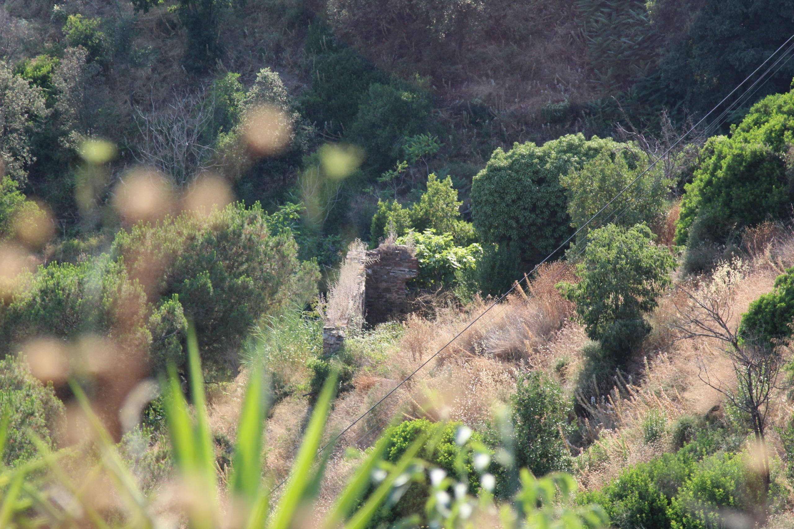 Restes de l'antic monestir de Sant Jeroni de la Vall d'Hebron just a sota de la gasolinera de la carretera de l'Arrabassada / A.R.