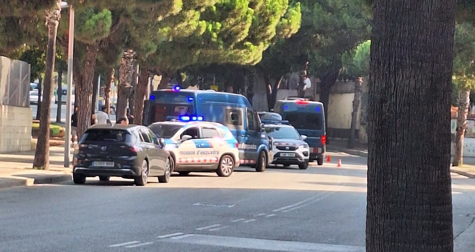 Imatge d'arxiu de diverses patrulles i una ambulància / José Díaz