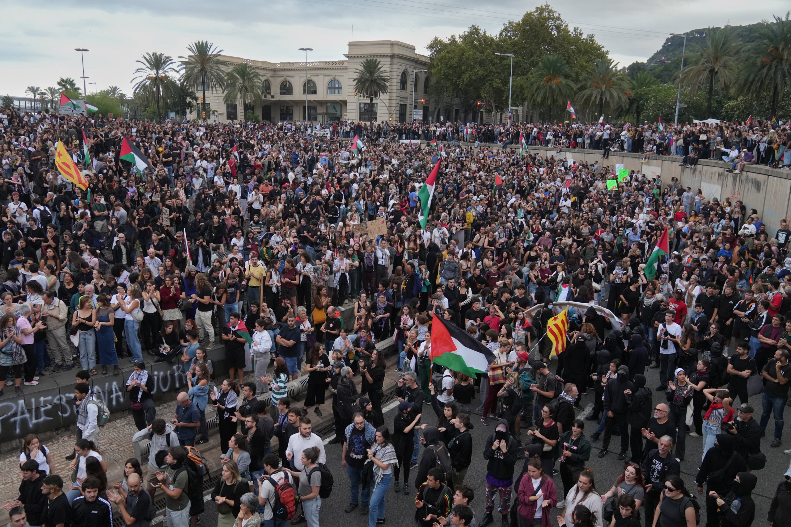 Milers de persones participen en la protesta per l'assalt a la flotilla i tallen la ronda del Litoral a Barcelona / David Zorrakino (Europa Press)