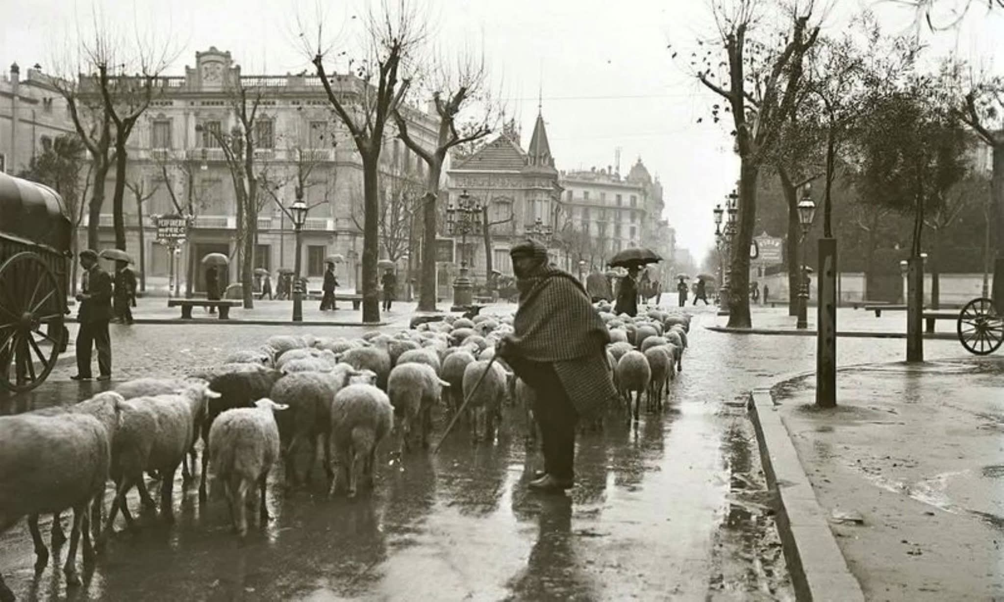 Barcelona, 1920. Cruïlla del Passeig de Gràcia amb el carrer Diputació. Frederic Juandó Alegret / Arxiu de la Diputació de Barcelona.