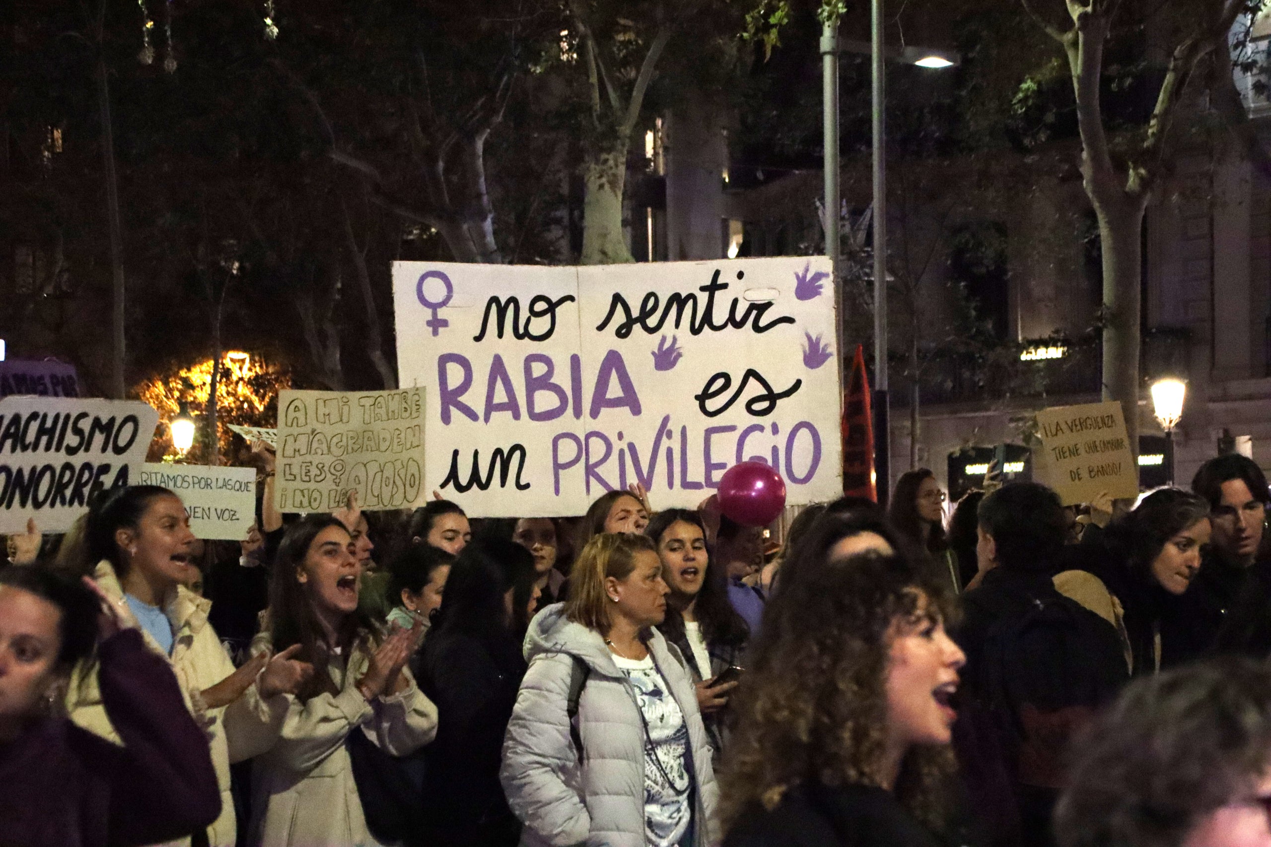 Un moment de la manifestació del 25-N, Dia Internacional de l'Eliminació de la Violència contra la Dona, a Barcelona / Blanca Blay (ACN)  