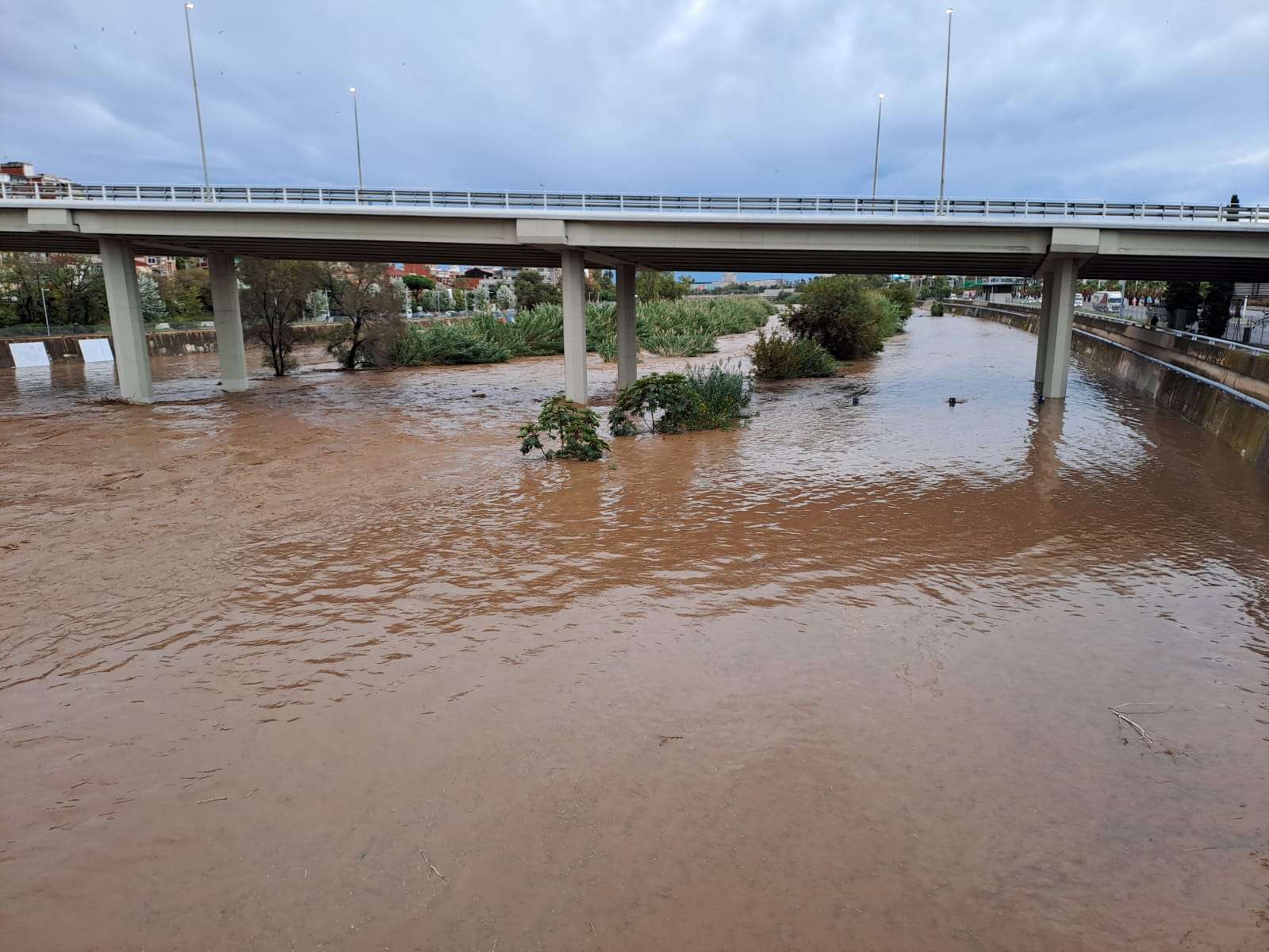 El parc fluvial del Besòs inundat | DIBA