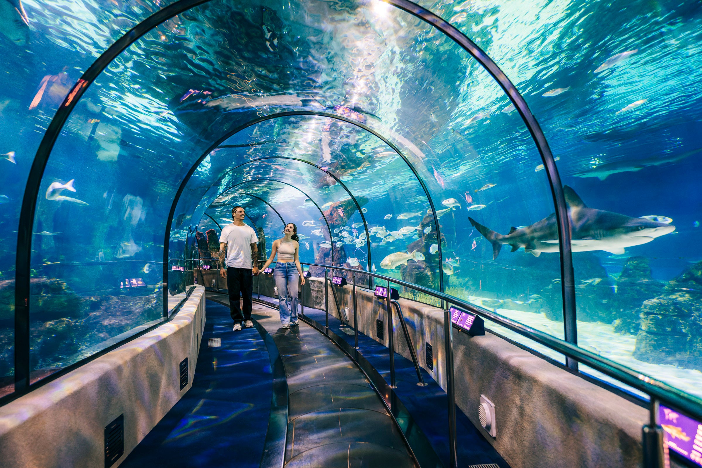 El Nou Aquàrium vol consolidar-se com un espai de descoberta i diversió, però també de sensibilització. L'AQUÀRIUM DE BARCELONA