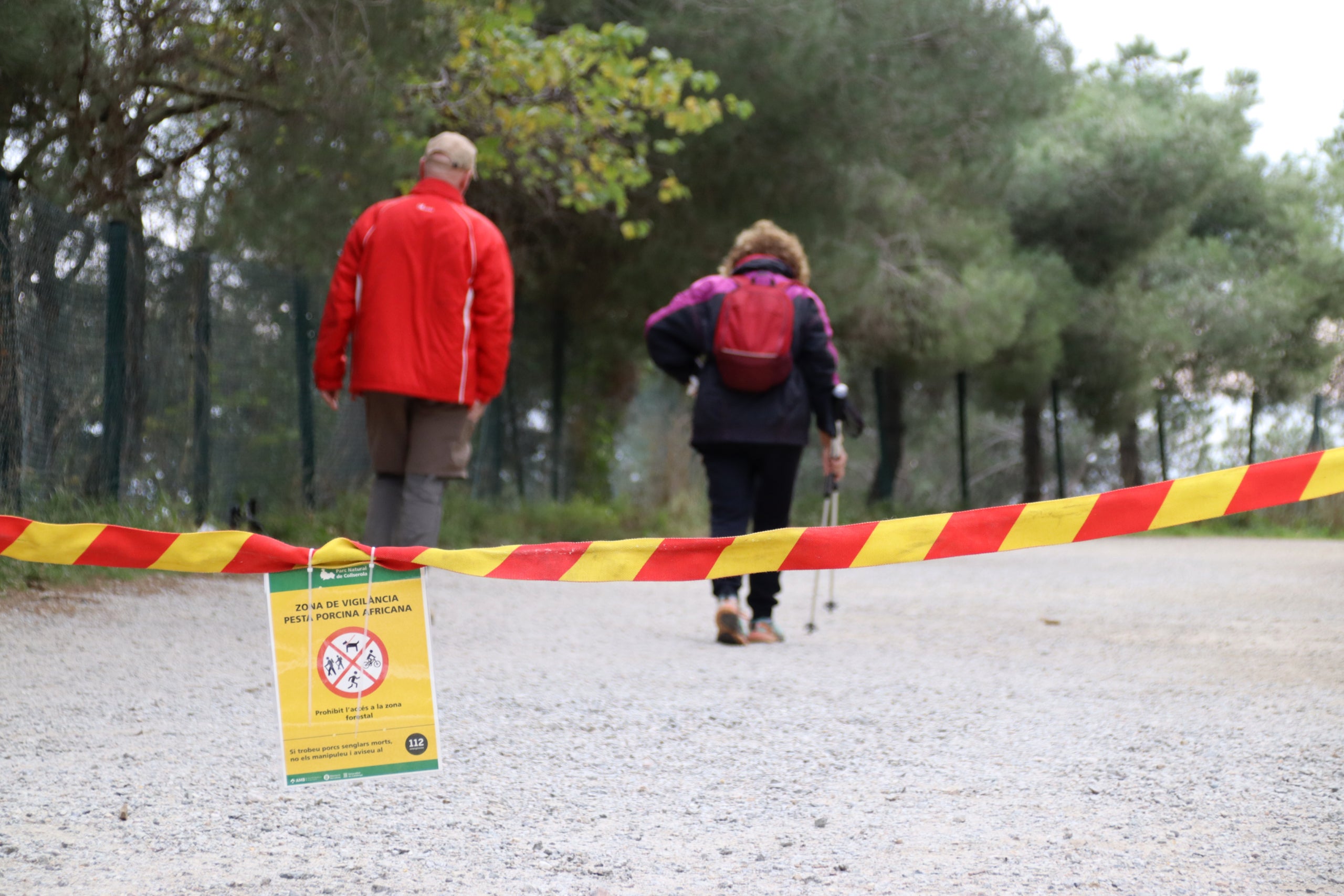 Ciudadanos saltándose las restricciones por la peste porcina africana en Collserola / Mariona Puig (ACN)
