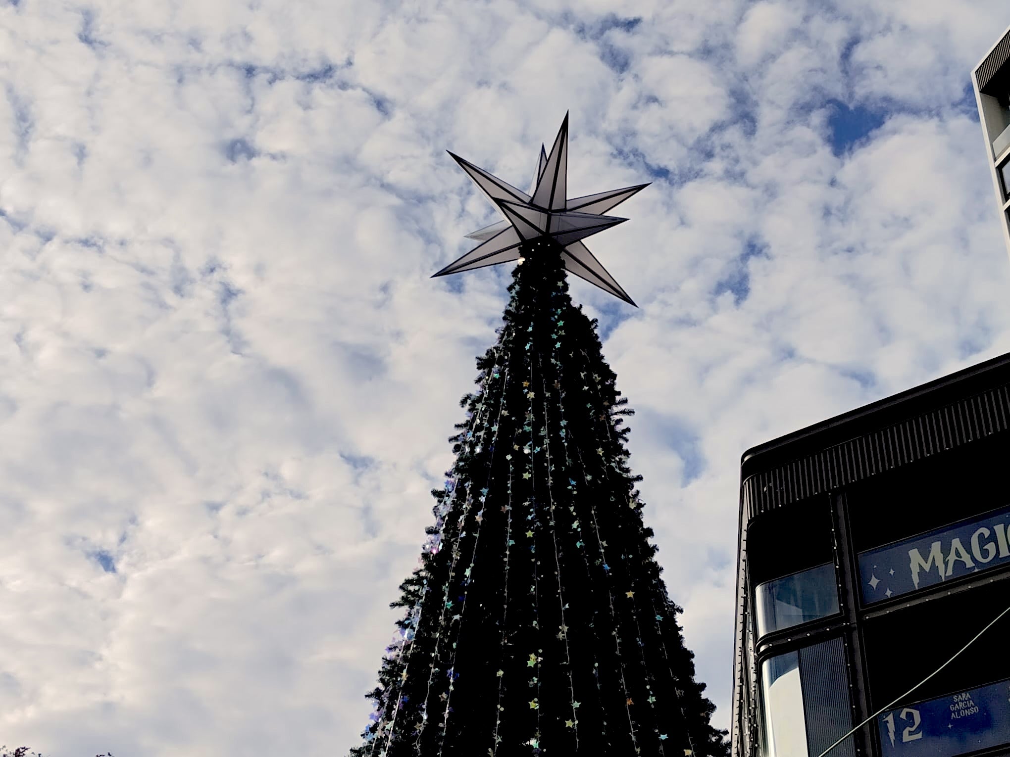 Un arbre de Nadal de Barcelona amb una estrella idèntica a la de la Sagrada Família, un detall sorprenent que connecta Nadal i patrimoni | Gabriel González