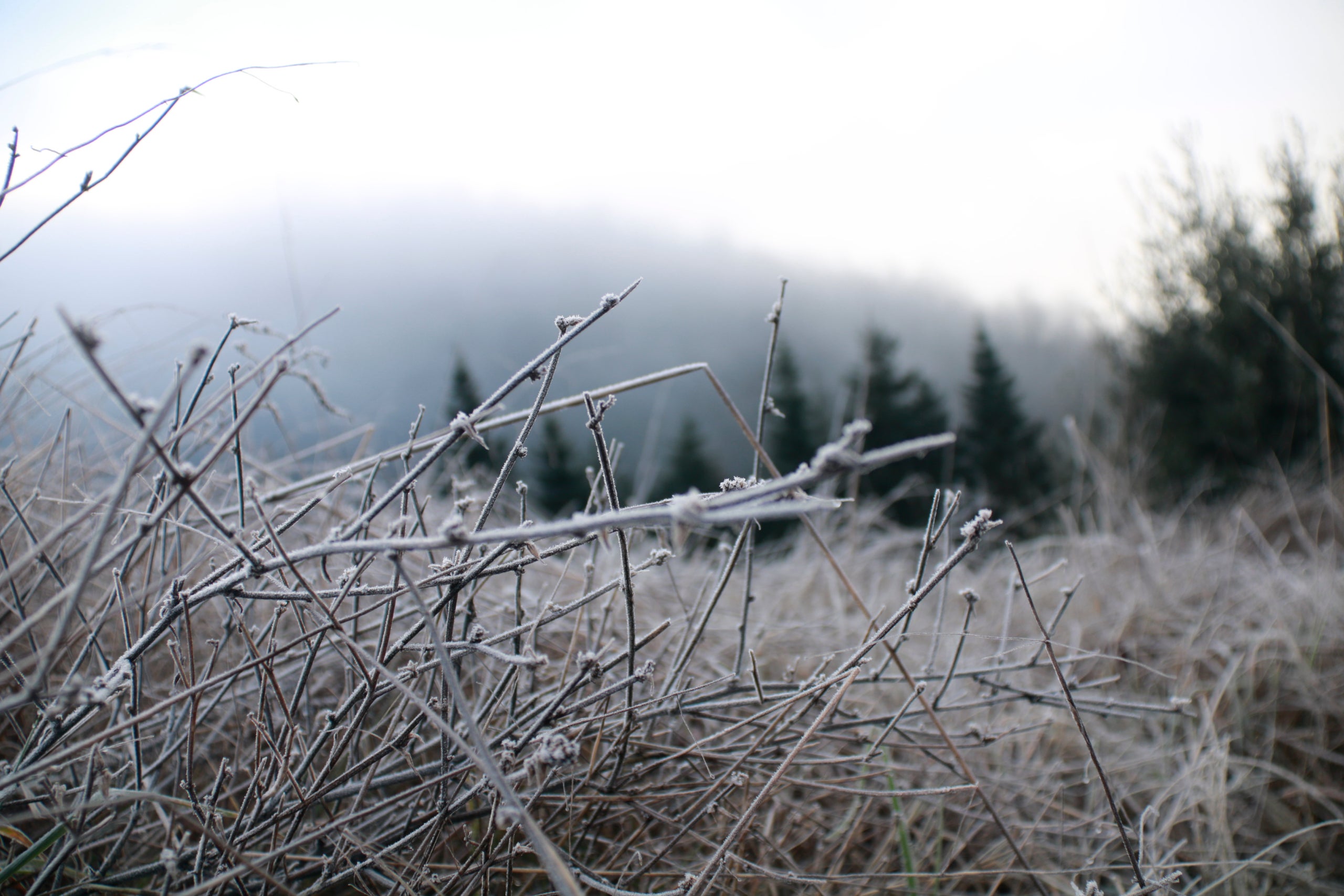 L'onada de fred persisteix a Barcelona / ACN