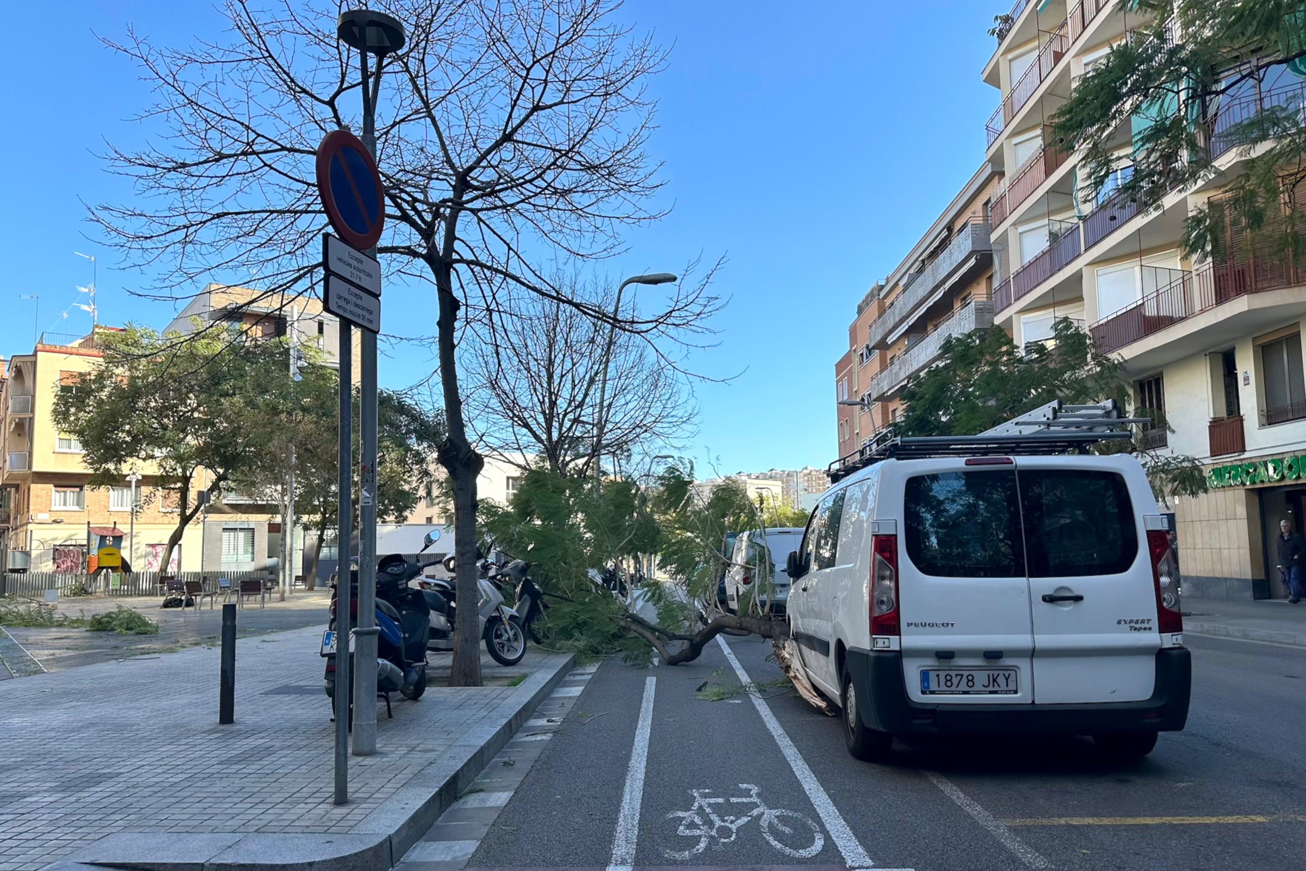 Una branca caiguda en un carril bici a Barcelona / ACN