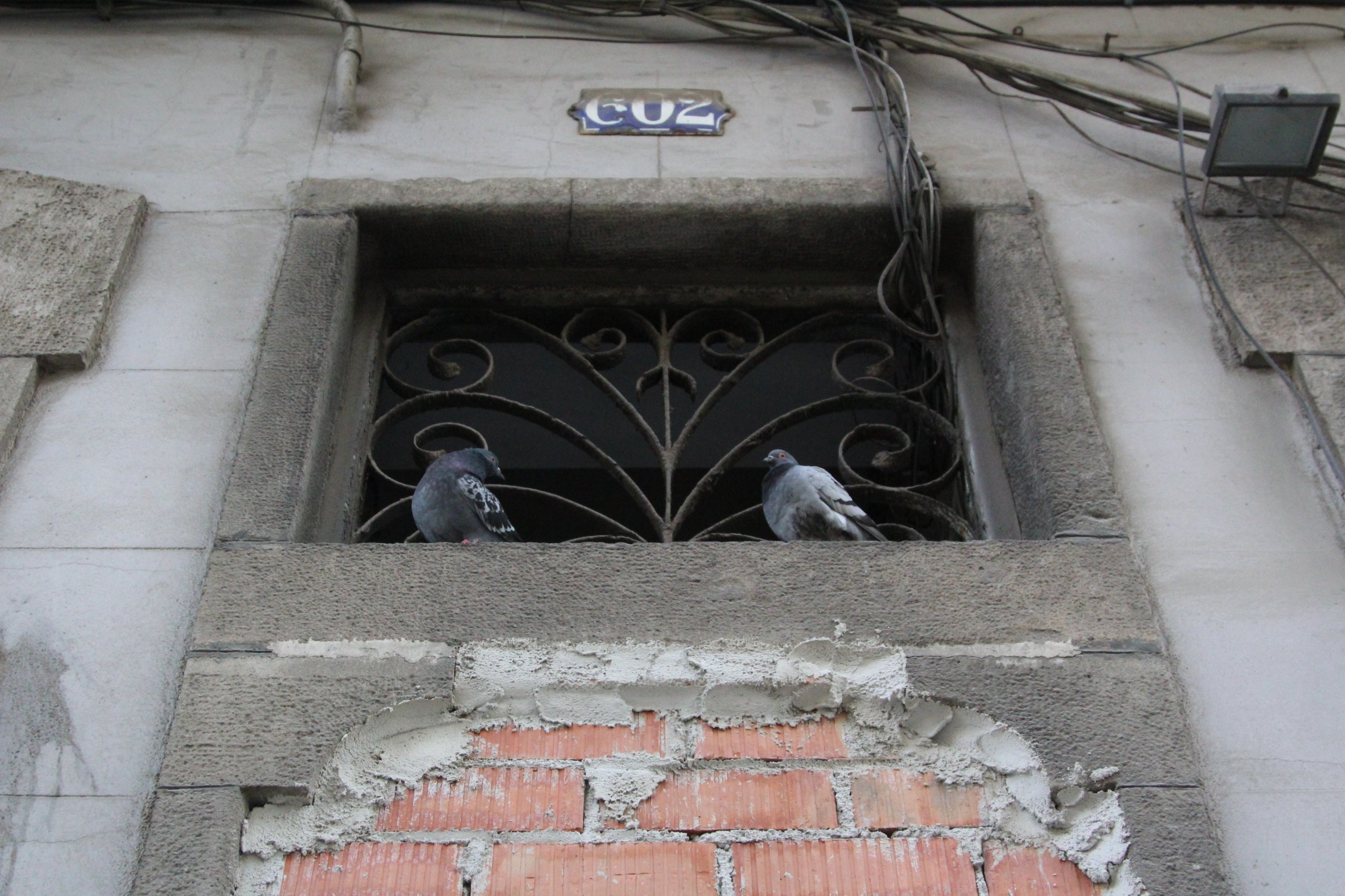 Detall dun dels edificis tapiats en el marc dels enderrocs per la reforma de la façana nord de la plaça de les Glòries / A.R.
