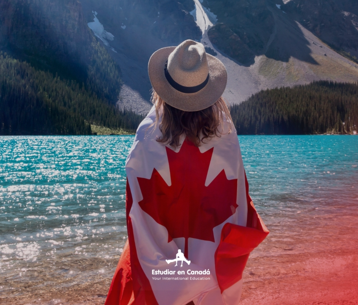Estudiar al Canadà: educació de qualitat i una experiència internacional transformadora