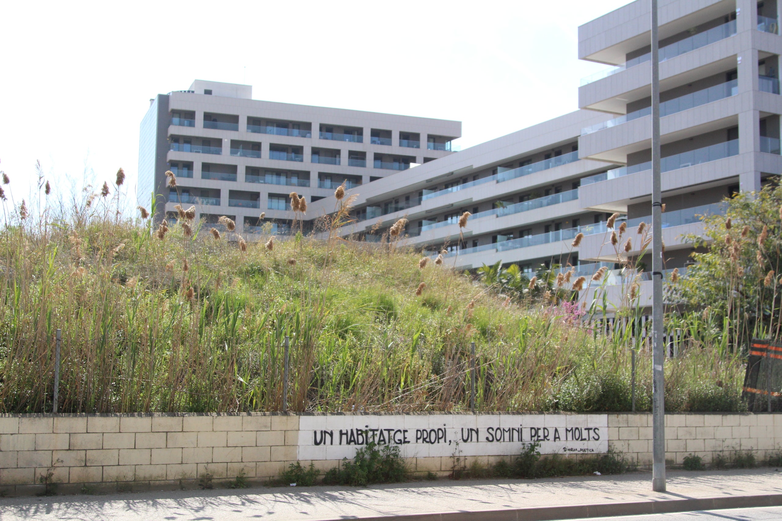 Solar al costat de les barraques de l'assentament del pont del Treball desallotjat aquest dimecres / A.R.